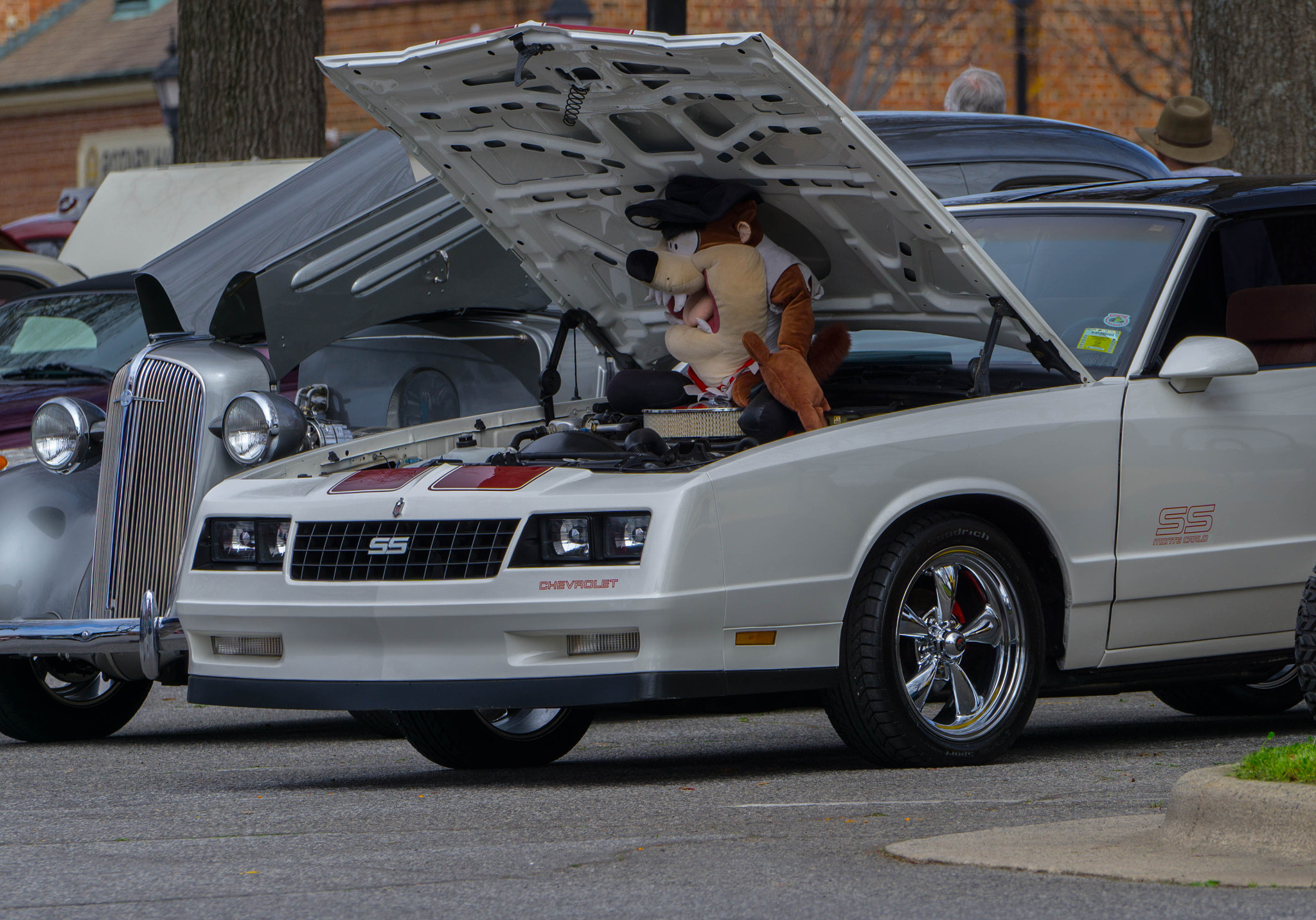 Sony a6000 + Sony FE 70-200mm F4 G OSS sample photo. One bad cheve photography