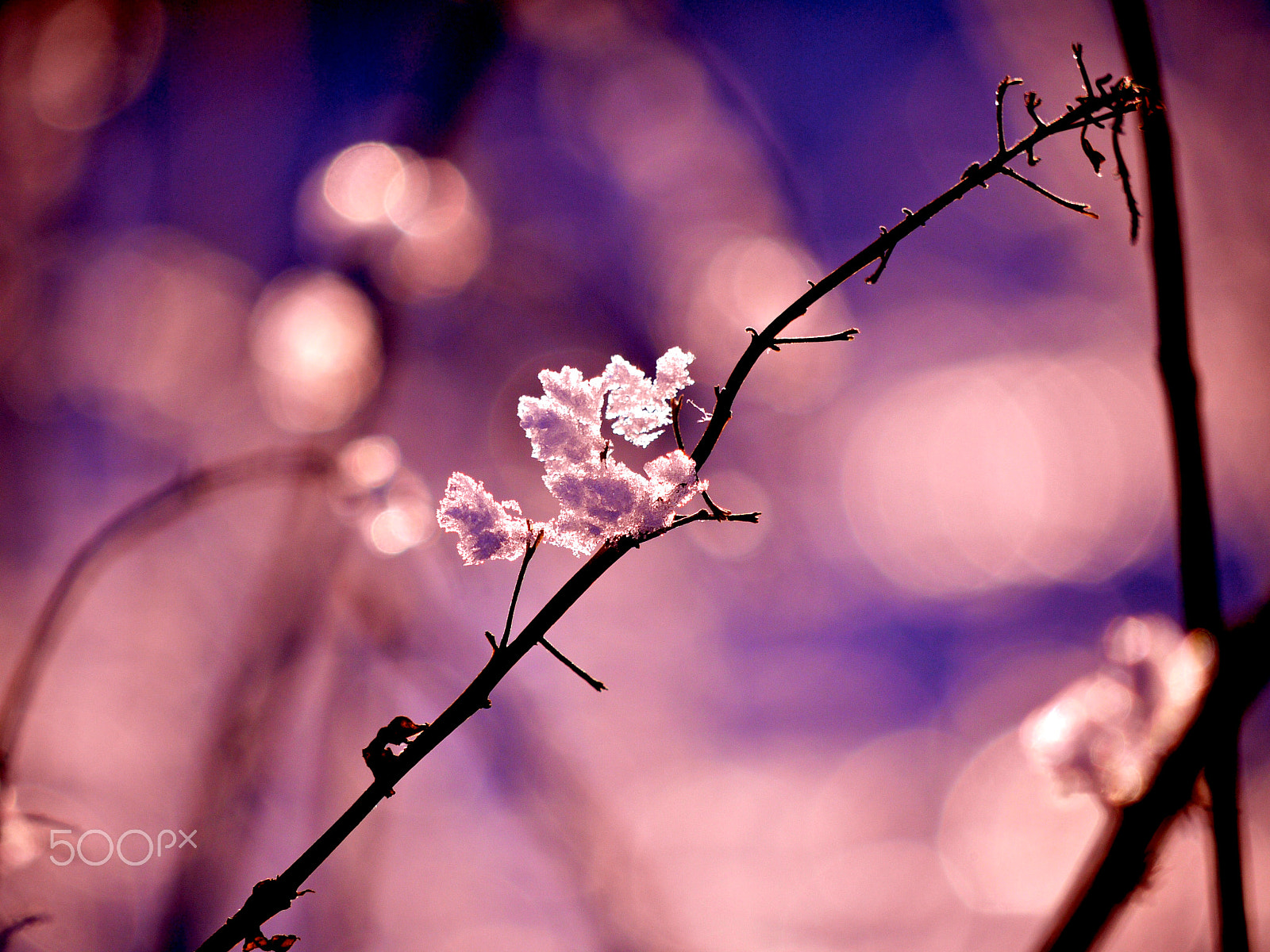 Panasonic Lumix G Vario 45-200mm F4-5.6 OIS sample photo. Winter in scotland photography