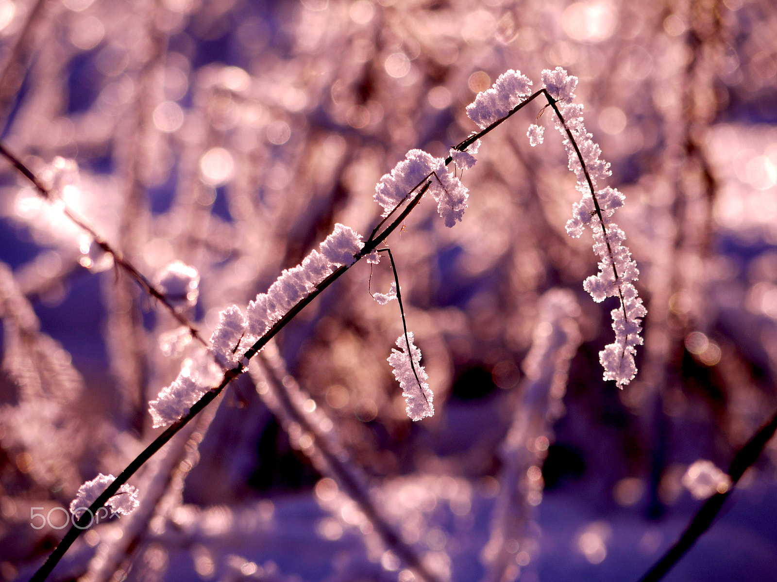Panasonic Lumix G Vario 45-200mm F4-5.6 OIS sample photo. Winter in scotland photography