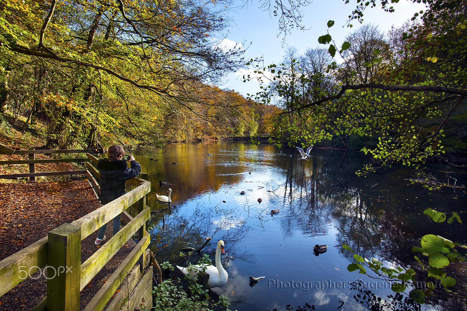 Canon EOS 5D Mark II + Canon EF 16-35mm F2.8L USM sample photo. Gledhow lake in autumn photography