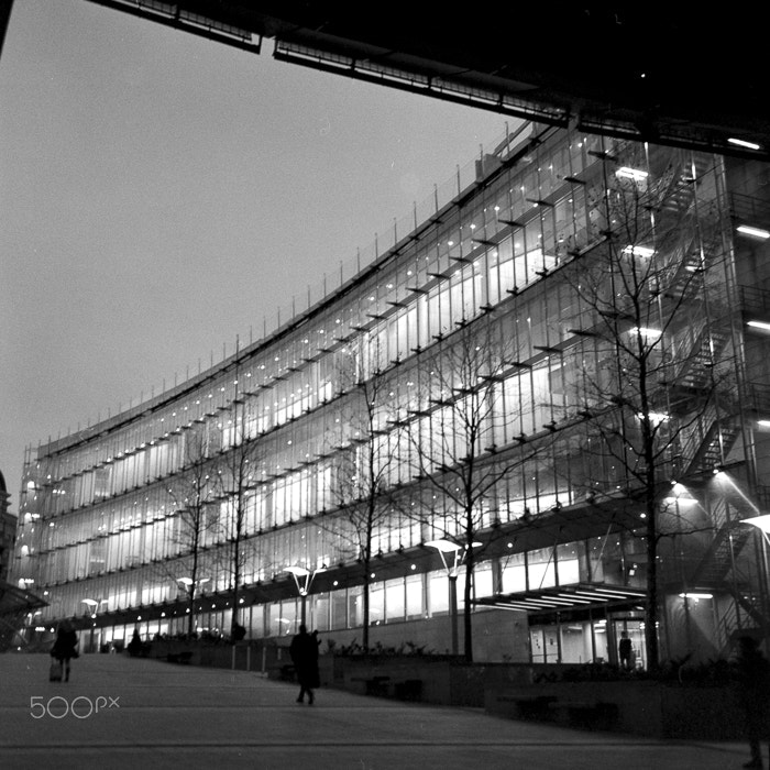 Nikon AF-S DX Micro Nikkor 40mm F2.8 sample photo. Parliament photography