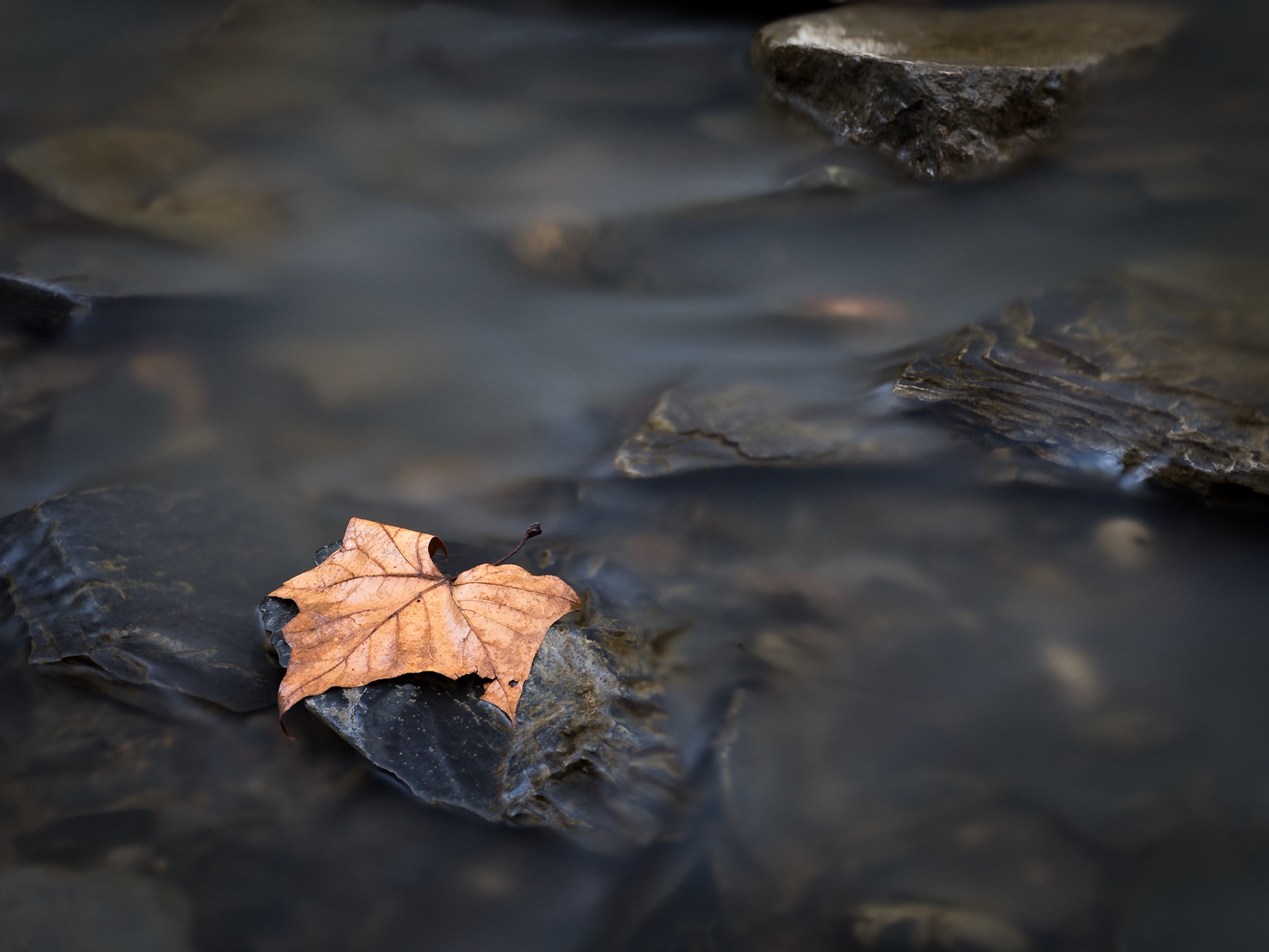 Olympus OM-D E-M1 Mark II + Olympus M.Zuiko Digital ED 12-40mm F2.8 Pro sample photo. Intimate landscape photography