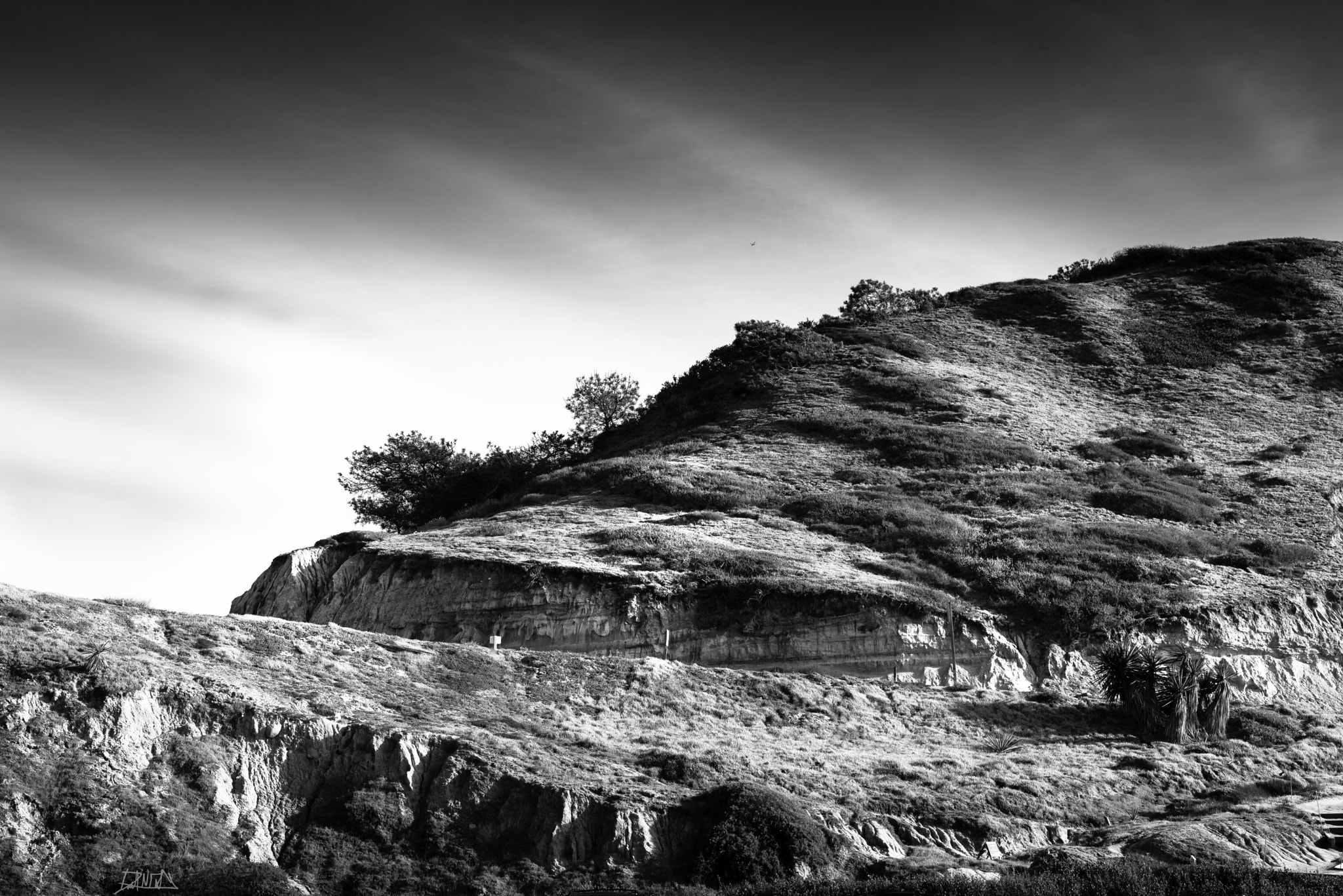 Sigma 50mm F1.4 DG HSM Art sample photo. The bluffs - torrey pines state natural reserve photography