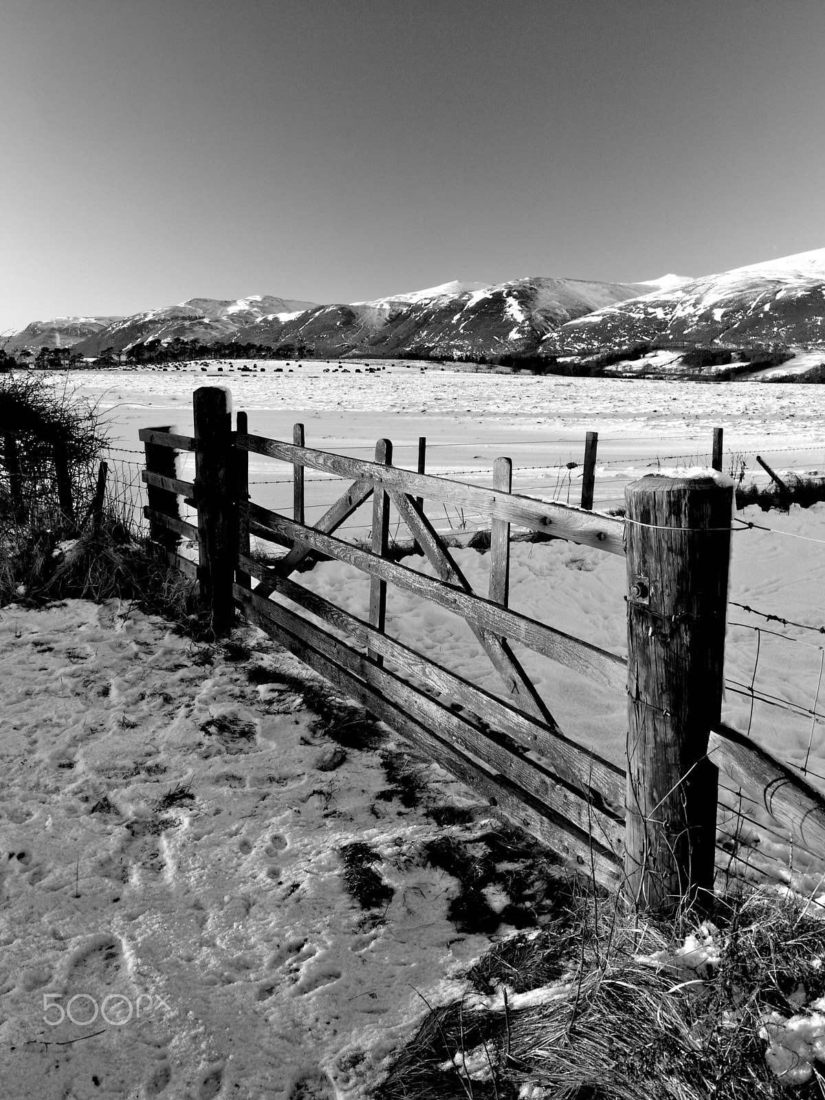 Panasonic Lumix DMC-G1 sample photo. Winter in scotland photography