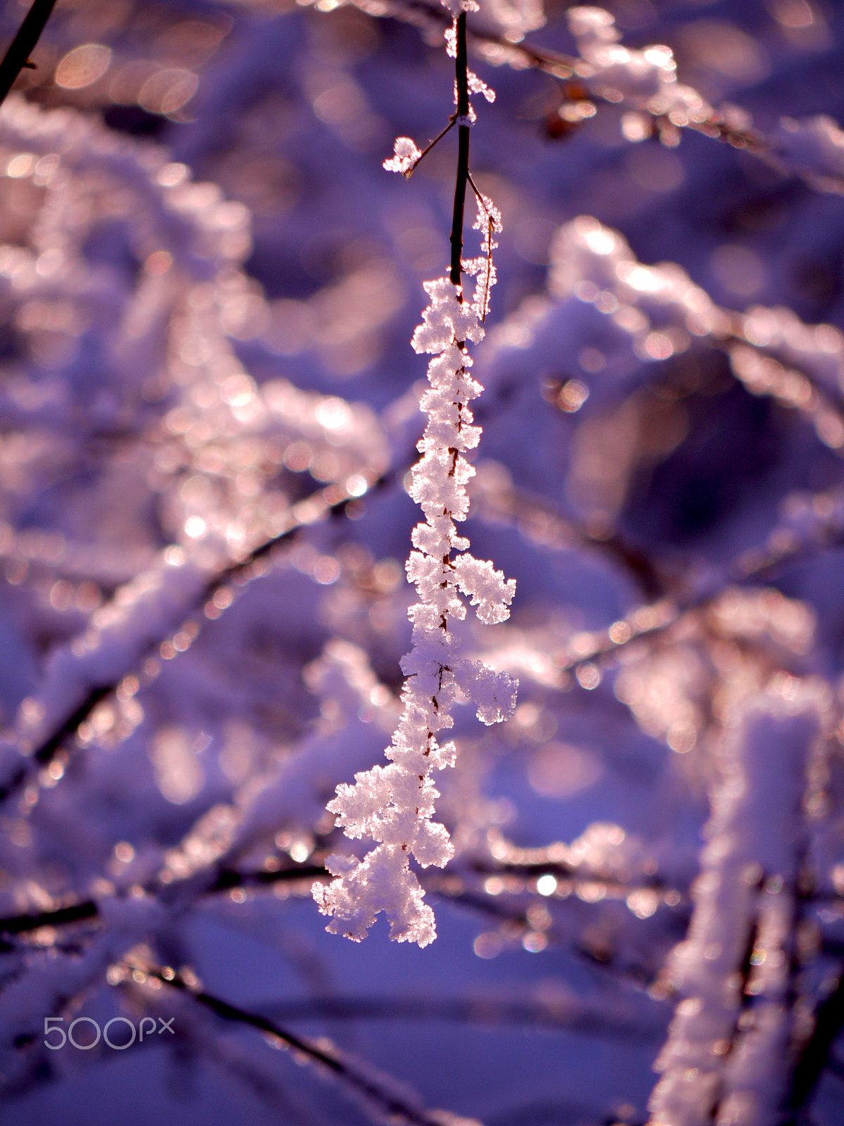 Panasonic Lumix G Vario 45-200mm F4-5.6 OIS sample photo. Winter in scotland photography