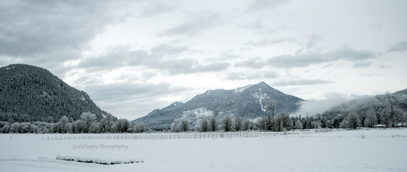 Nikon D4 sample photo. After a snow storm photography