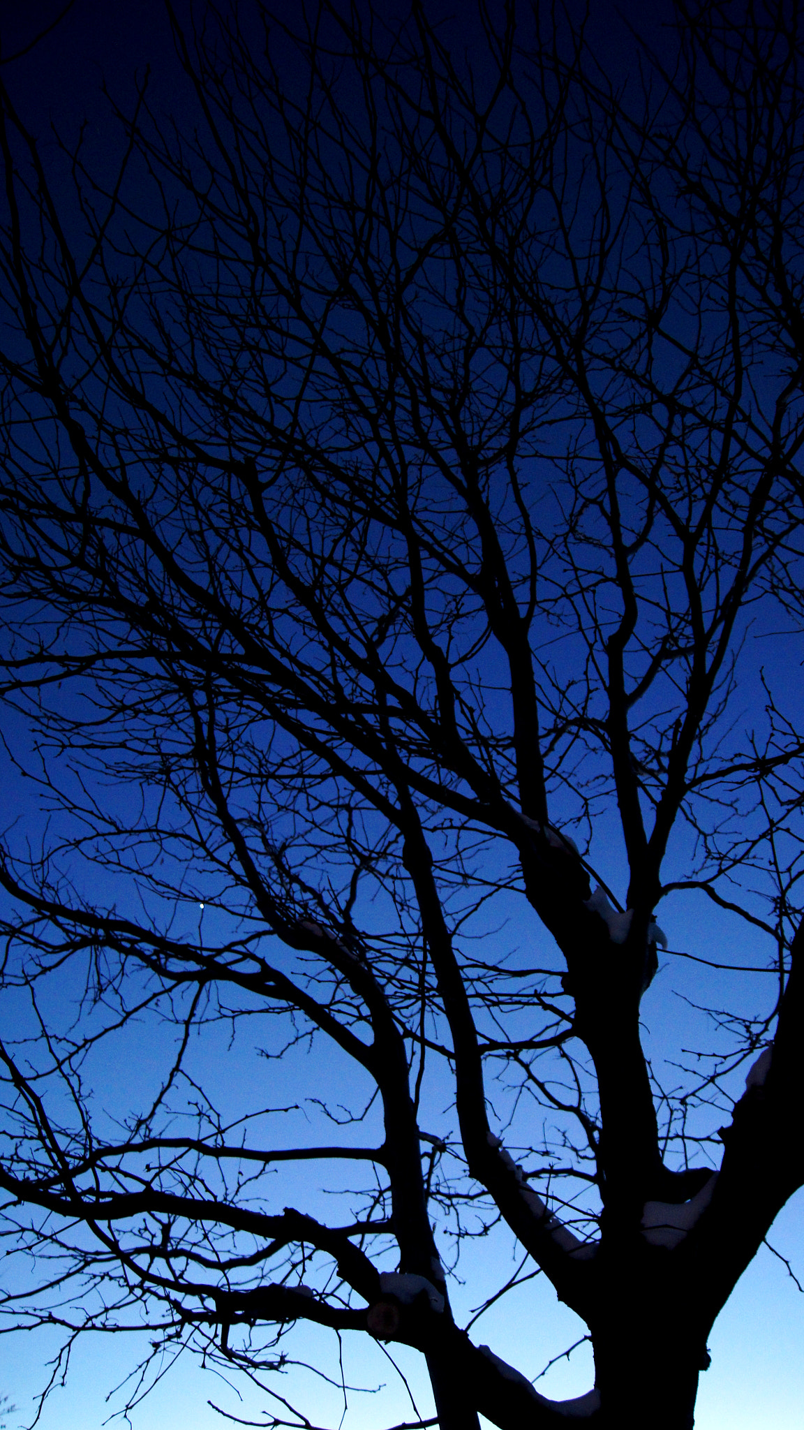 Sony SLT-A55 (SLT-A55V) sample photo. Fading into night photography