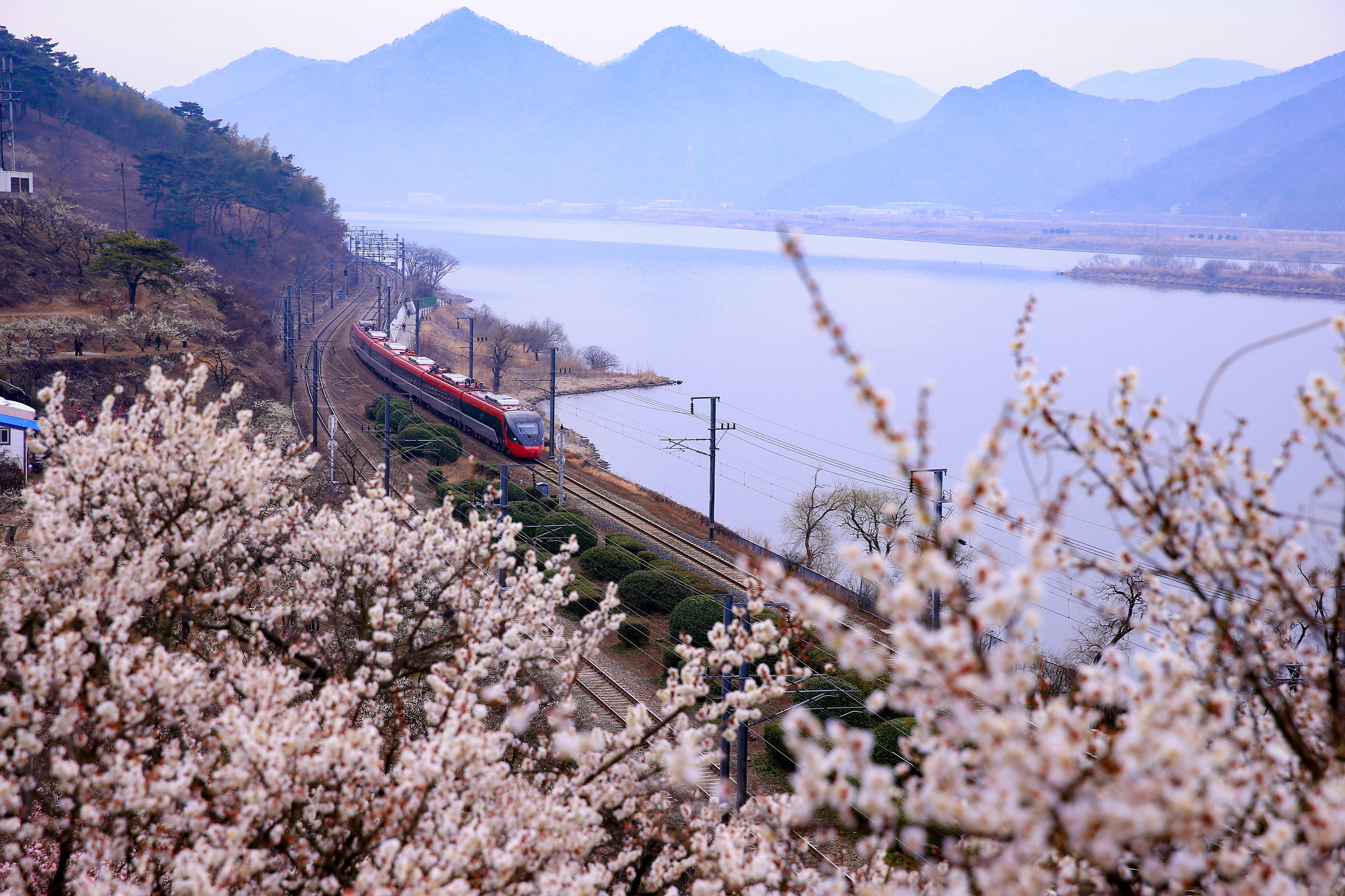 Canon EOS-1D X sample photo. View photography