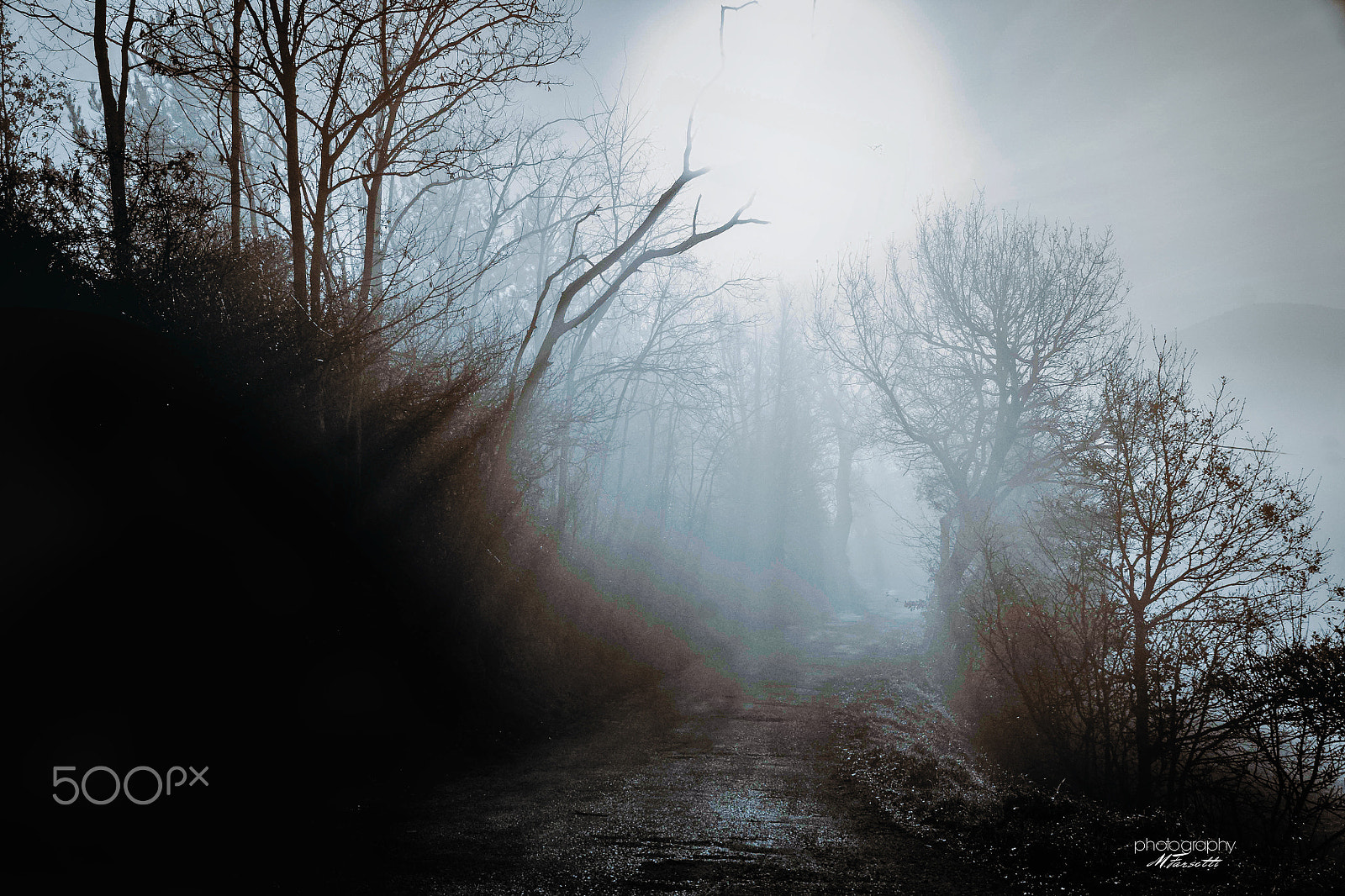 Sony DT 16-105mm F3.5-5.6 sample photo. Surreal misty... photography