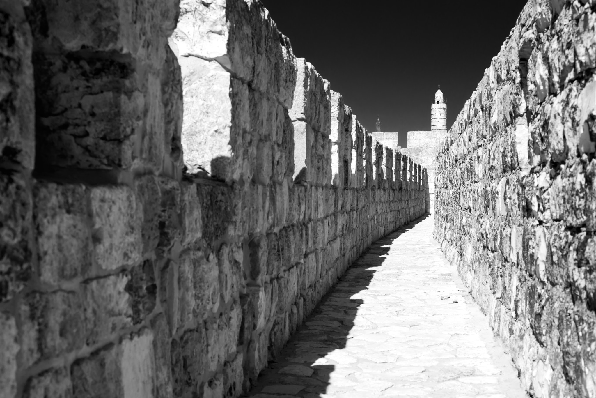 Nikon D800E + Nikon AF Nikkor 50mm F1.4D sample photo. Tower of david, jerusalem walls photography