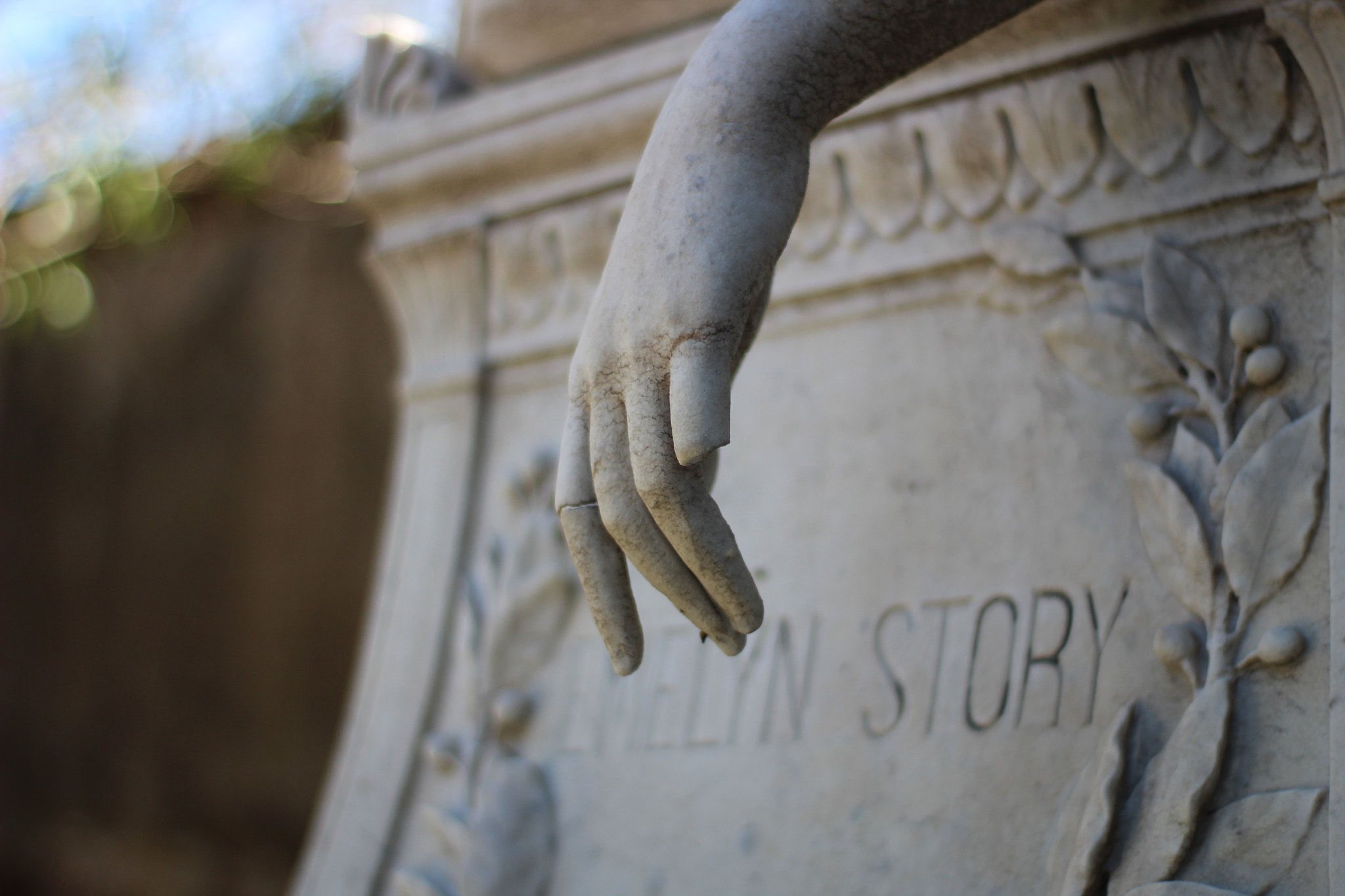 Canon 50mm sample photo