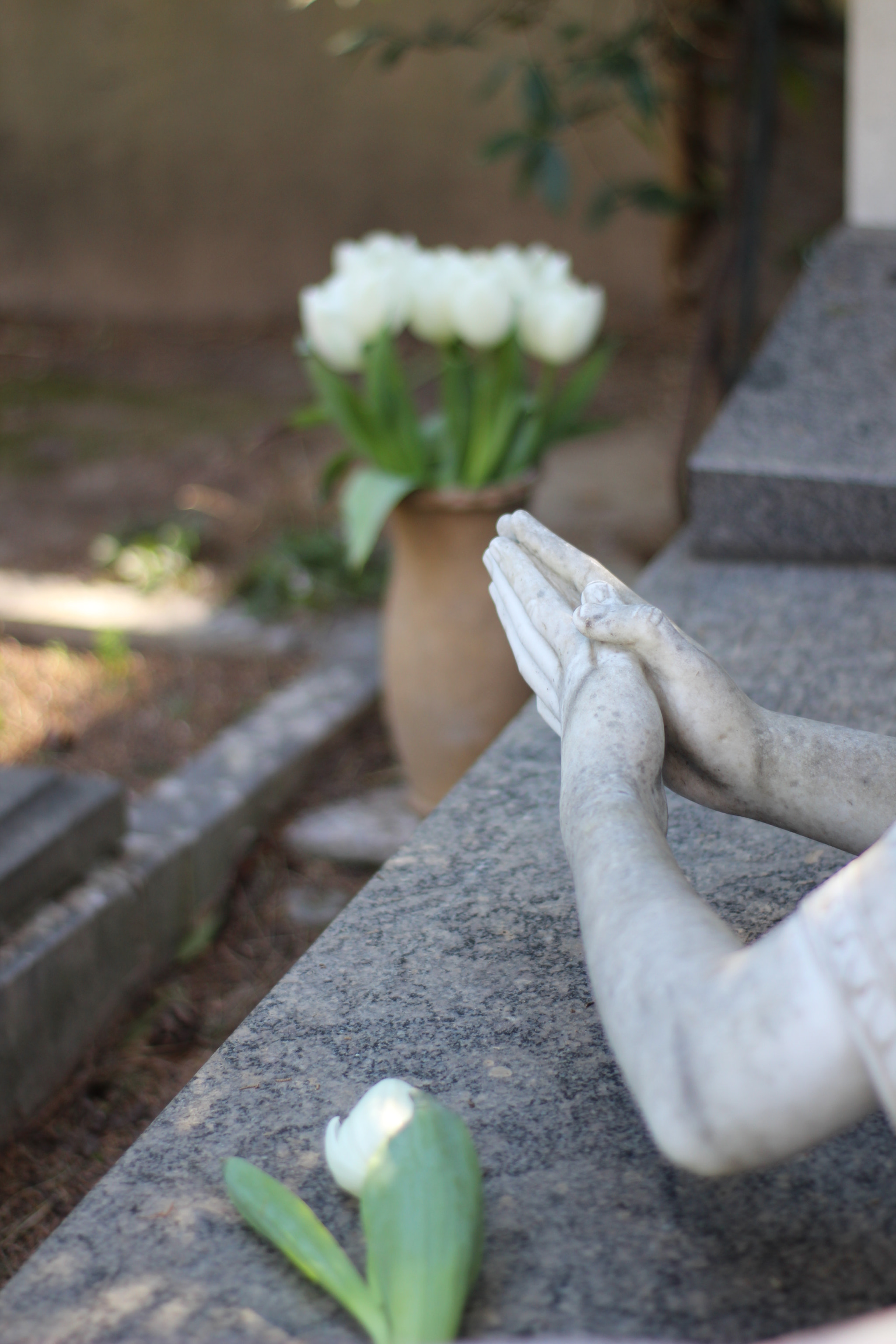 Canon 50mm sample photo