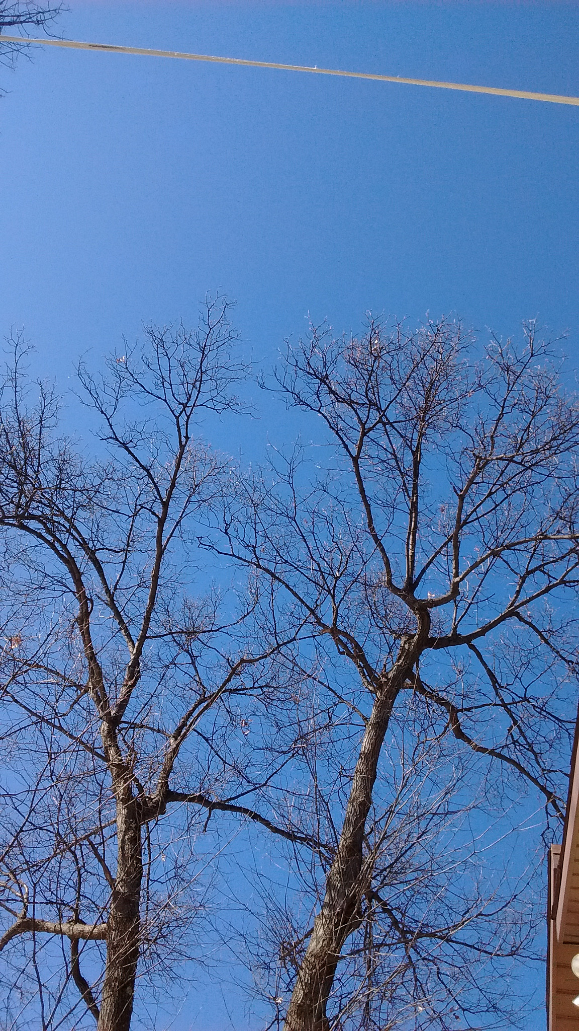 Motorola Moto E with 4G LTE (2nd Gen) sample photo