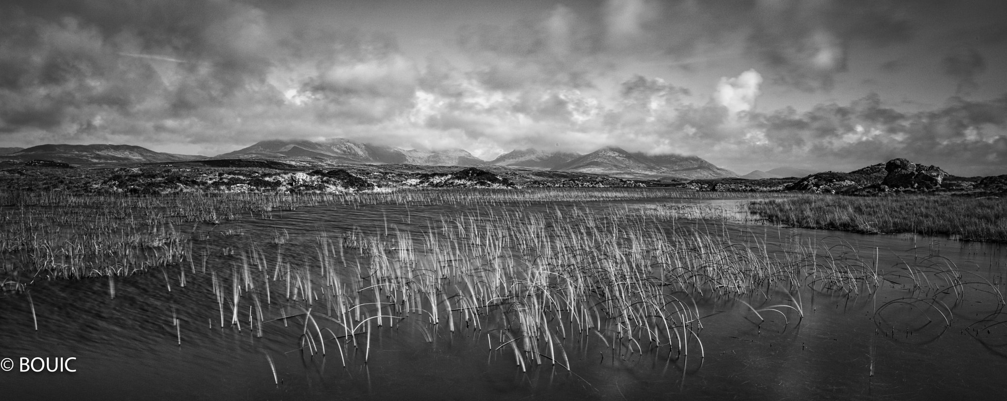 Leica S (TYP 006) sample photo. Moving in the breeze photography