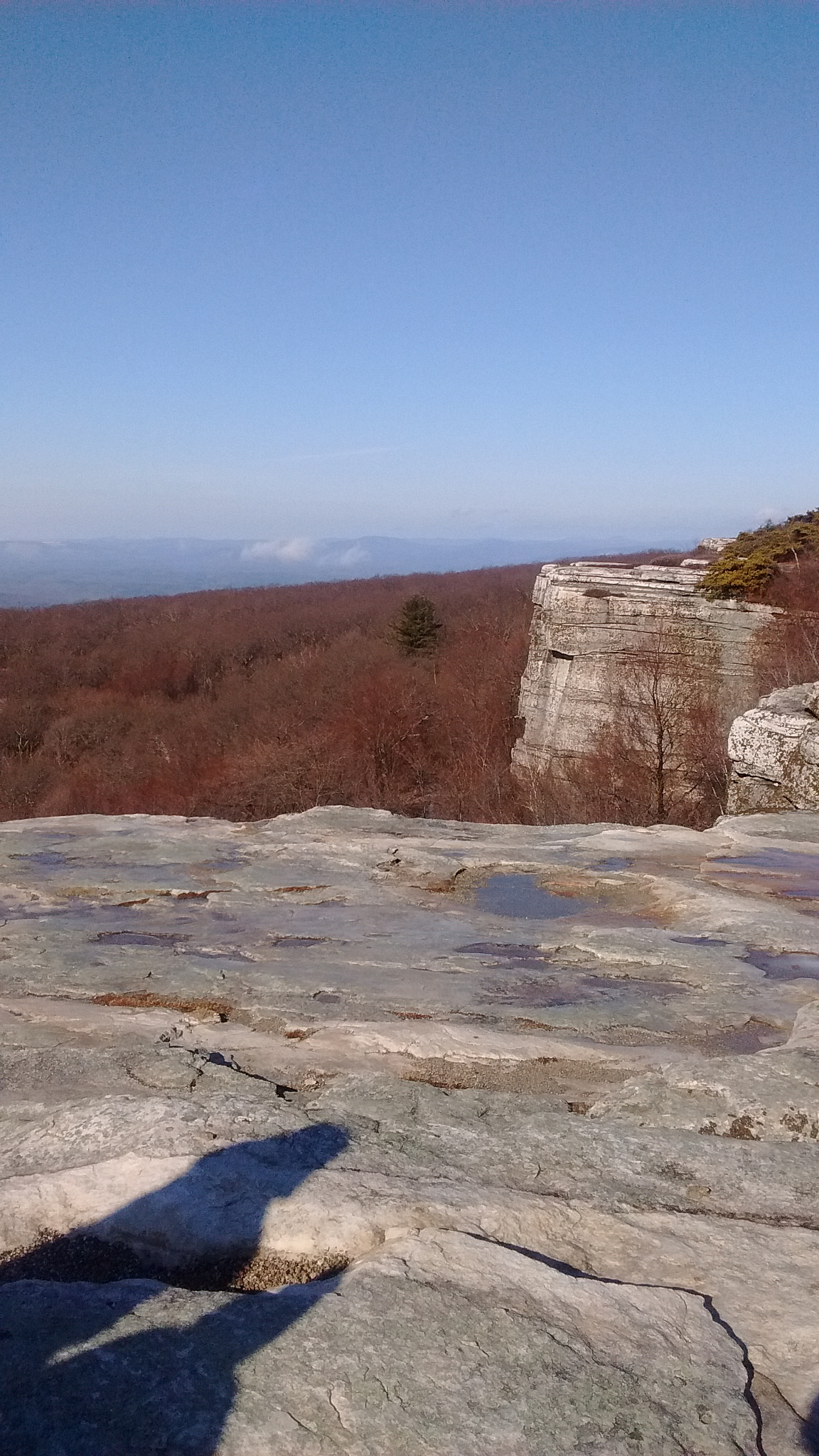 Motorola Moto E with 4G LTE (2nd Gen) sample photo
