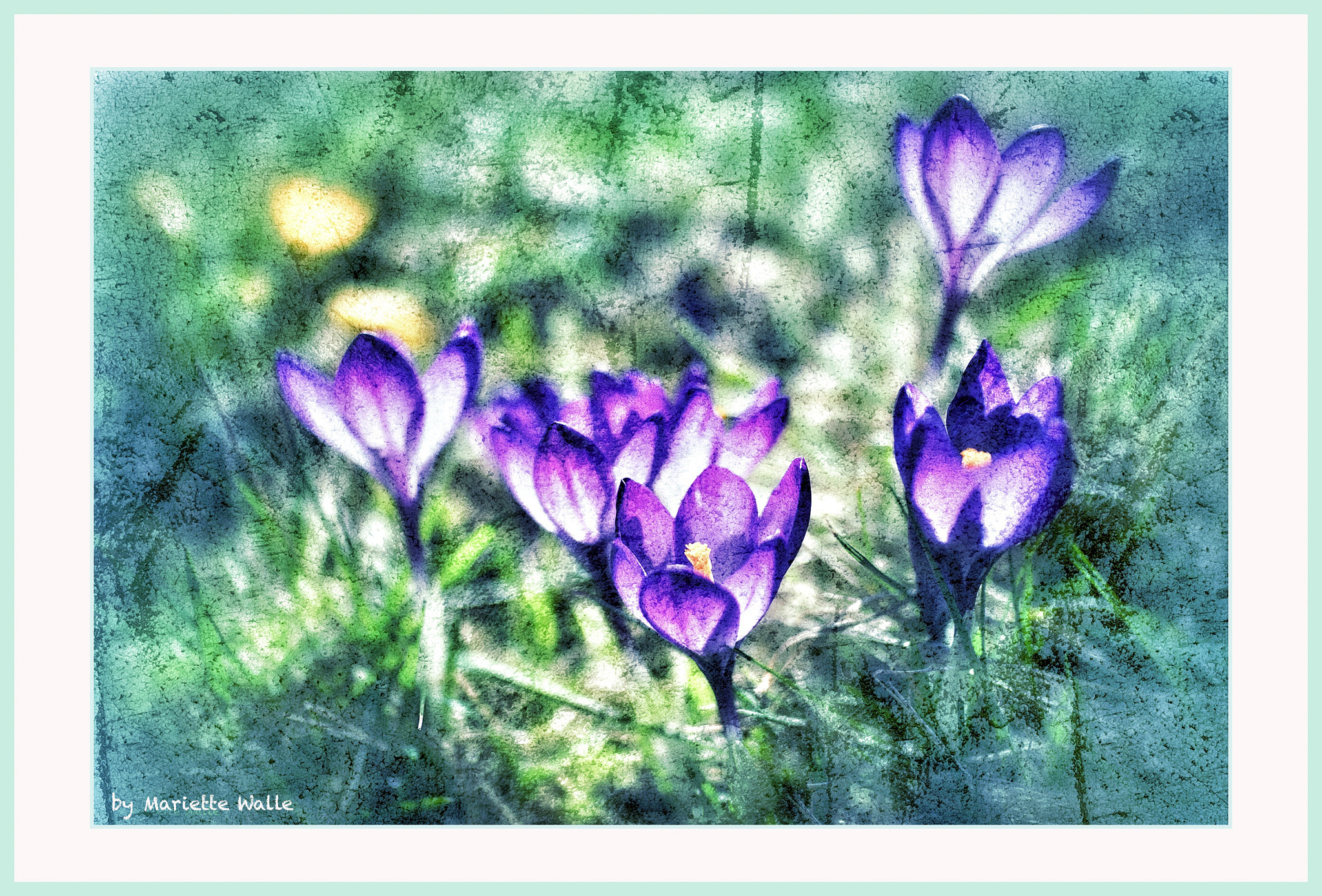 Canon EOS M5 + Canon EF-M 22mm F2 STM sample photo. Crocuses as a painting photography