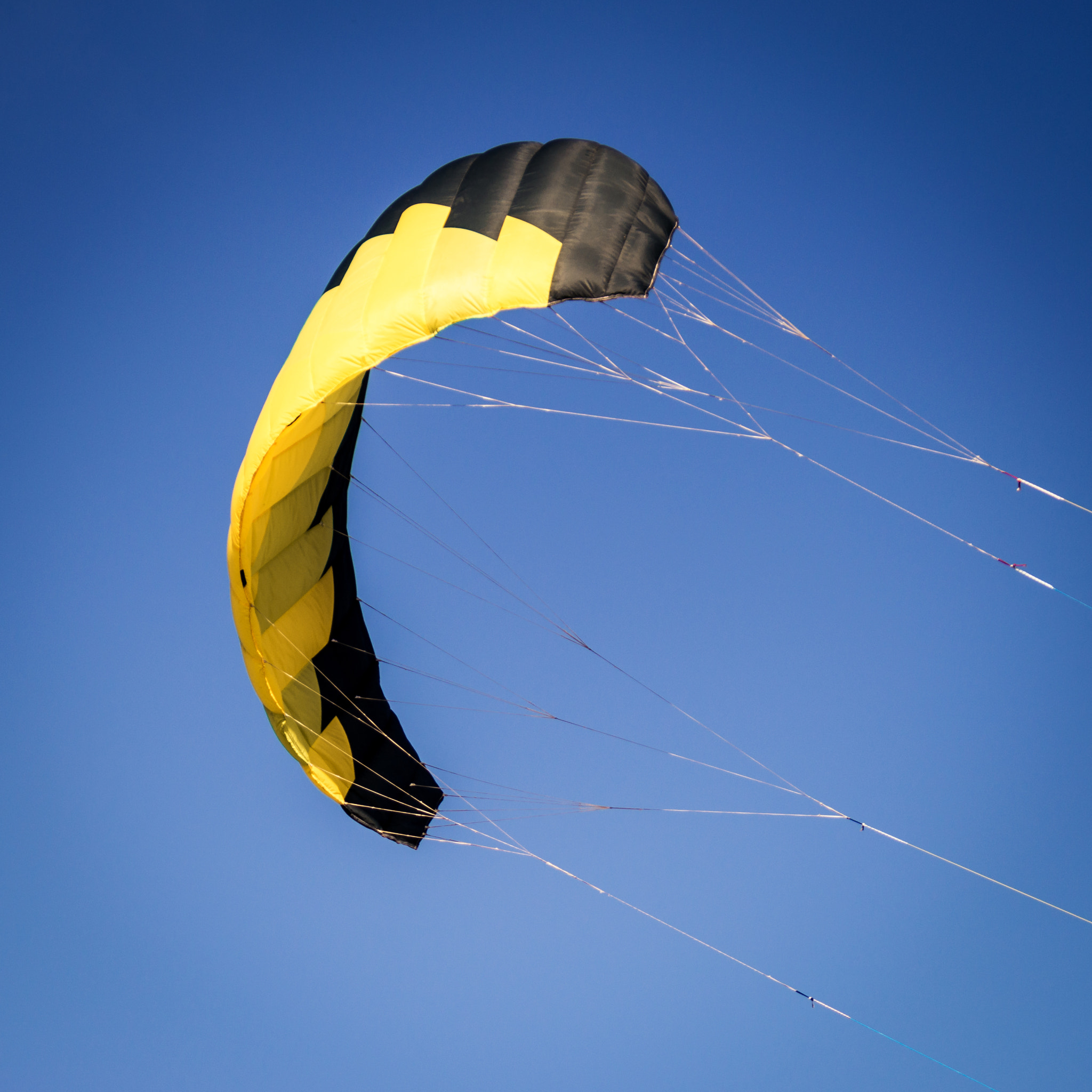 Nikon D3200 sample photo. Flying high photography