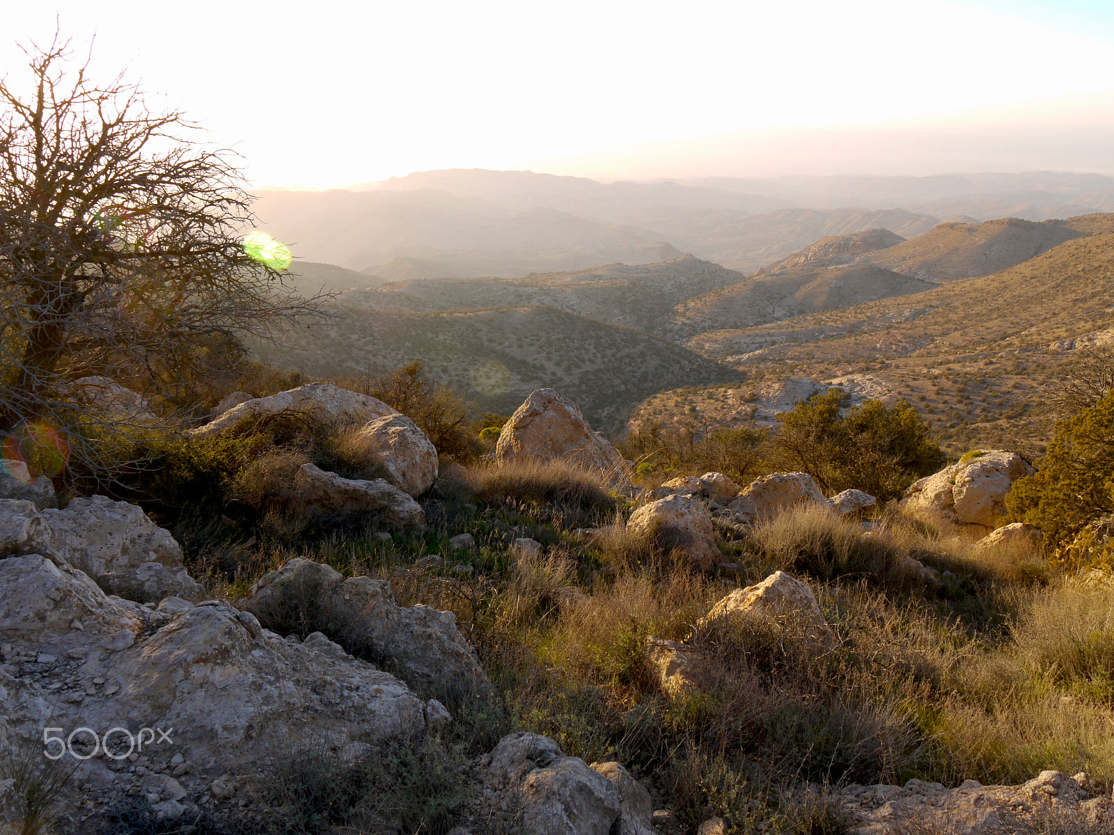 Panasonic Lumix DMC-G1 sample photo. From jebel rumman, dana, jordan. photography