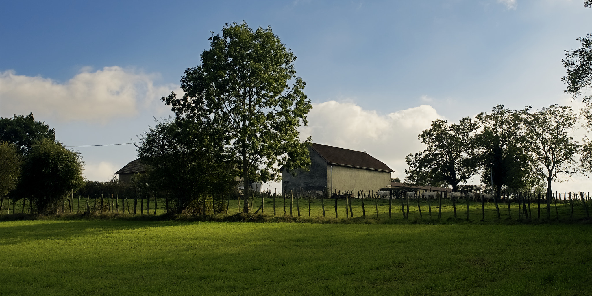 Panasonic Lumix DMC-GX85 (Lumix DMC-GX80 / Lumix DMC-GX7 Mark II) + Olympus M.Zuiko Digital ED 12-40mm F2.8 Pro sample photo. A la campagne photography