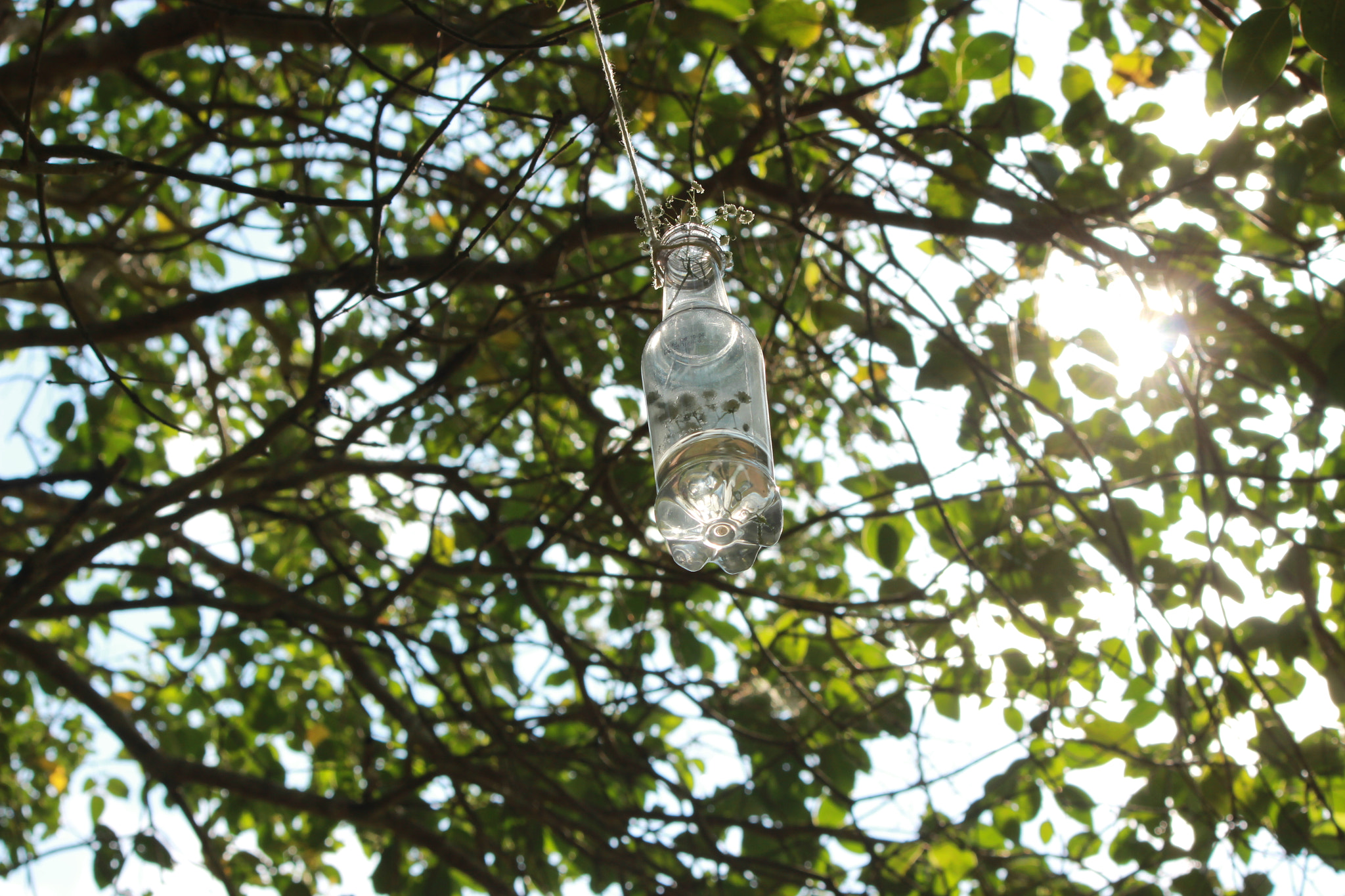 Canon EF-S 55-250mm F4-5.6 IS sample photo. Img photography