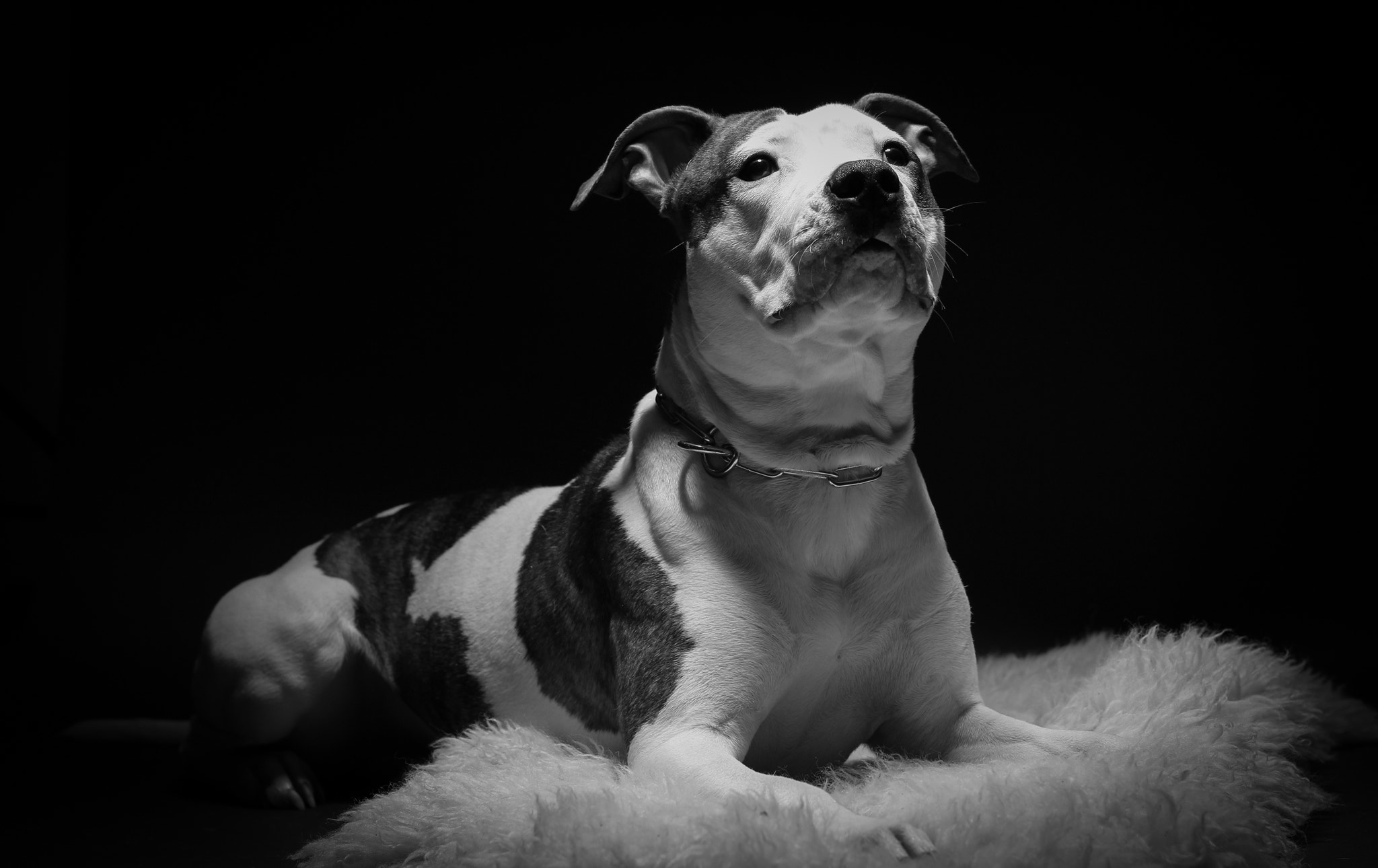 Sigma 50mm F1.4 EX DG HSM sample photo. Rocky b&w photography