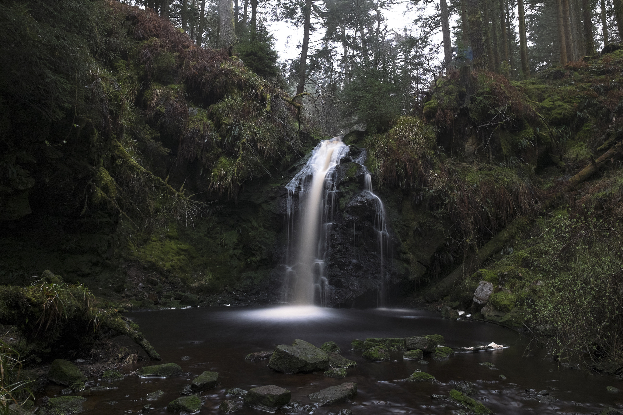 Fujifilm X-E1 + Fujifilm XF 14mm F2.8 R sample photo. Hindhope linn photography