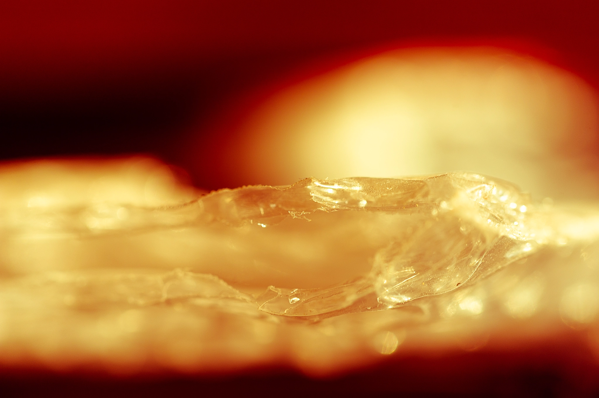 Sigma 150mm F2.8 EX DG Macro HSM sample photo. Consumption photography