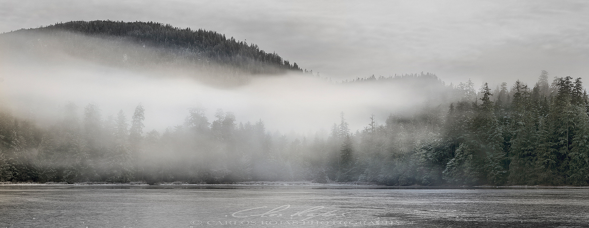 Pentax smc DA 55-300mm F4.0-5.8 ED sample photo. Shrouded by winter mist photography
