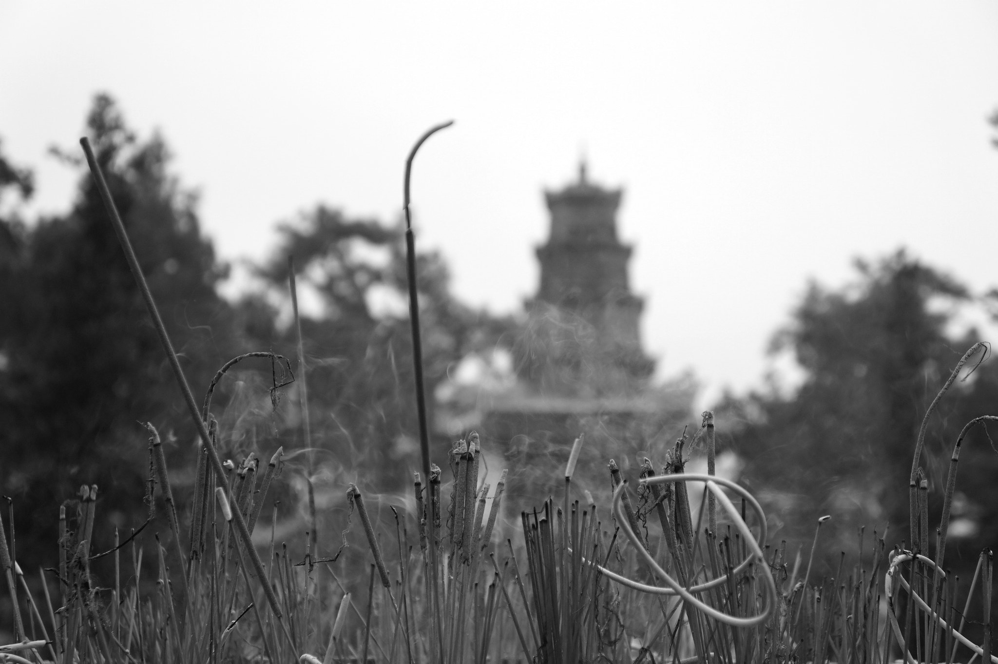 Sony a6000 + Sony E 18-55mm F3.5-5.6 OSS sample photo. Thien mu pagoda in hue, vietnam photography