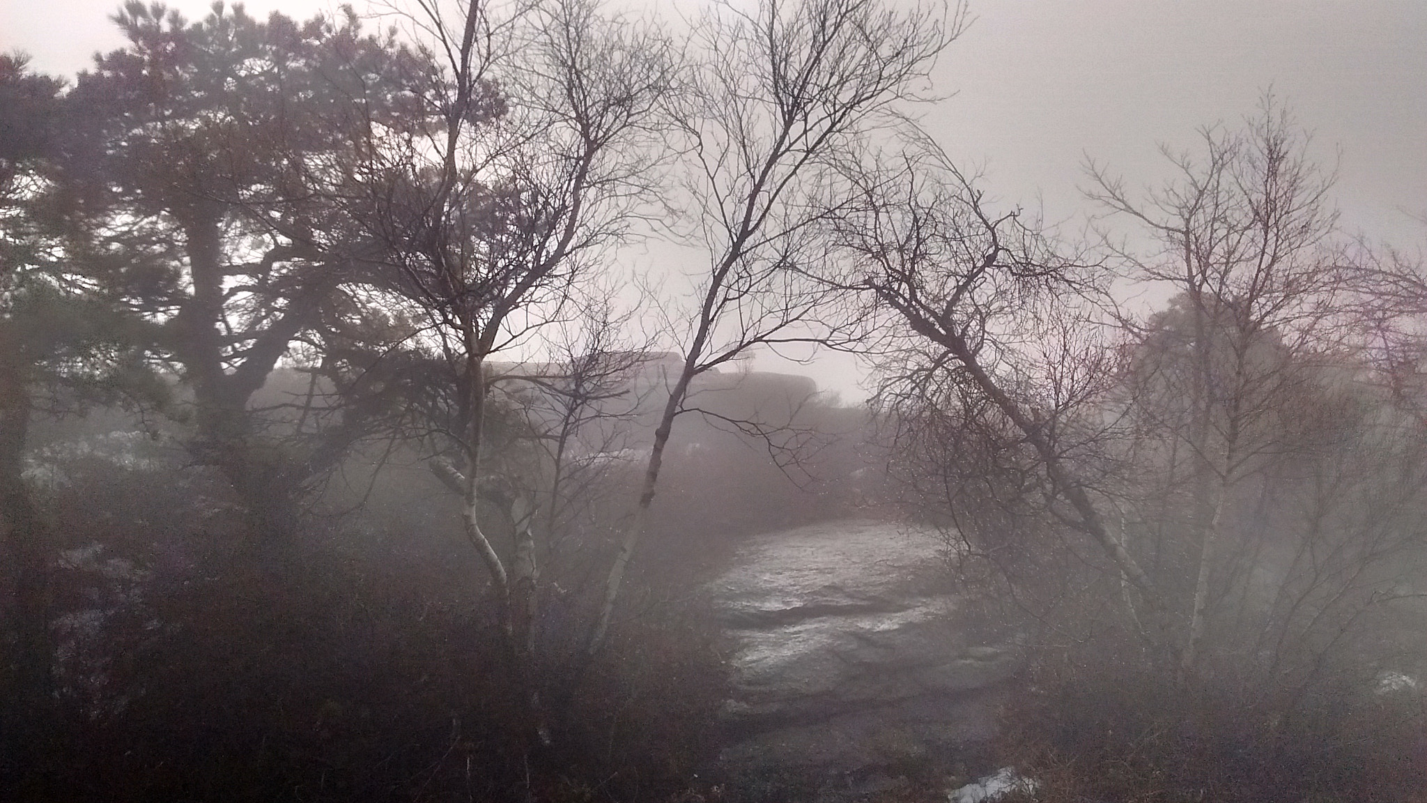 Motorola Moto E with 4G LTE (2nd Gen) sample photo