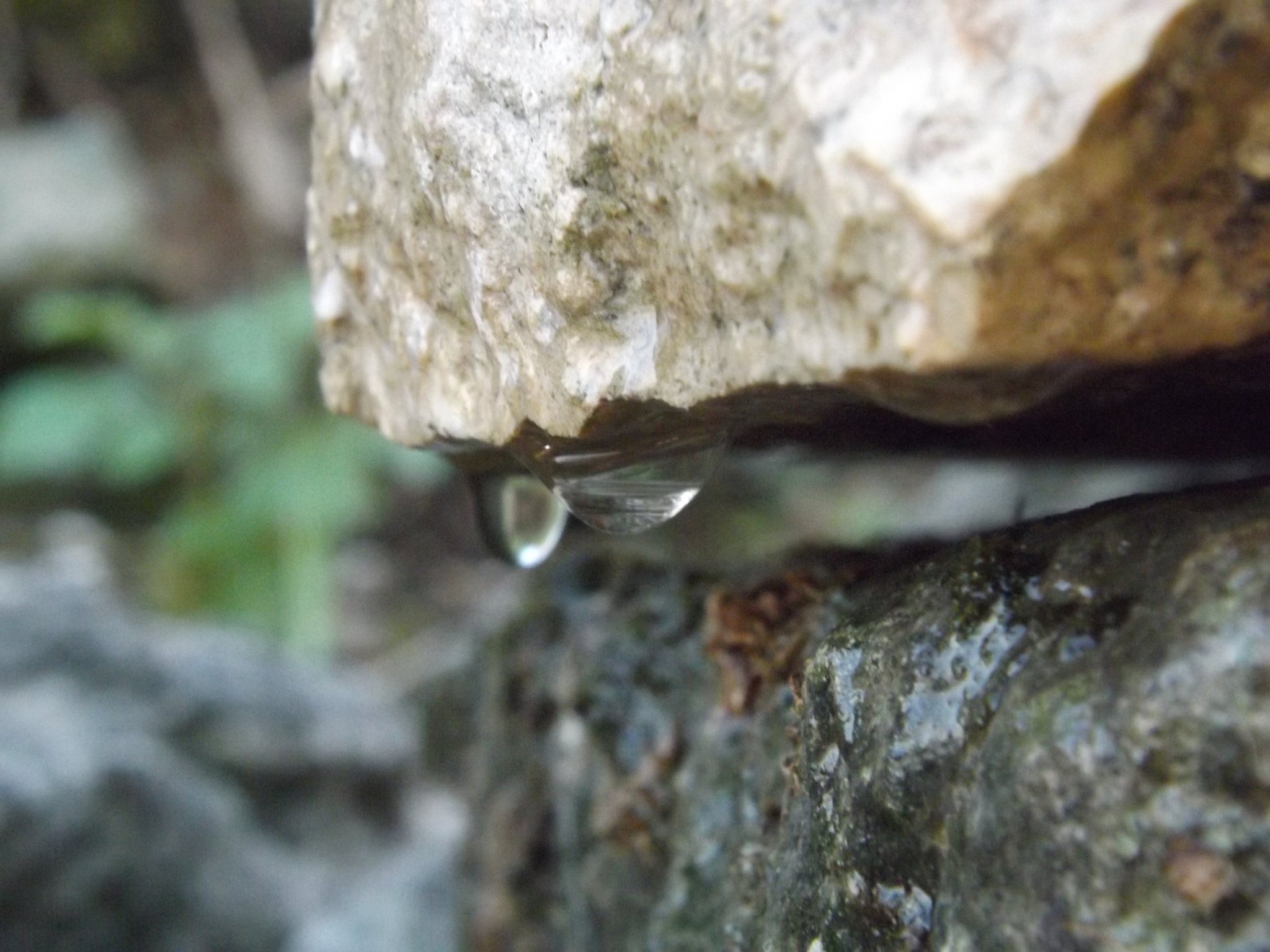 Fujifilm FinePix SL300 sample photo. Drop photography