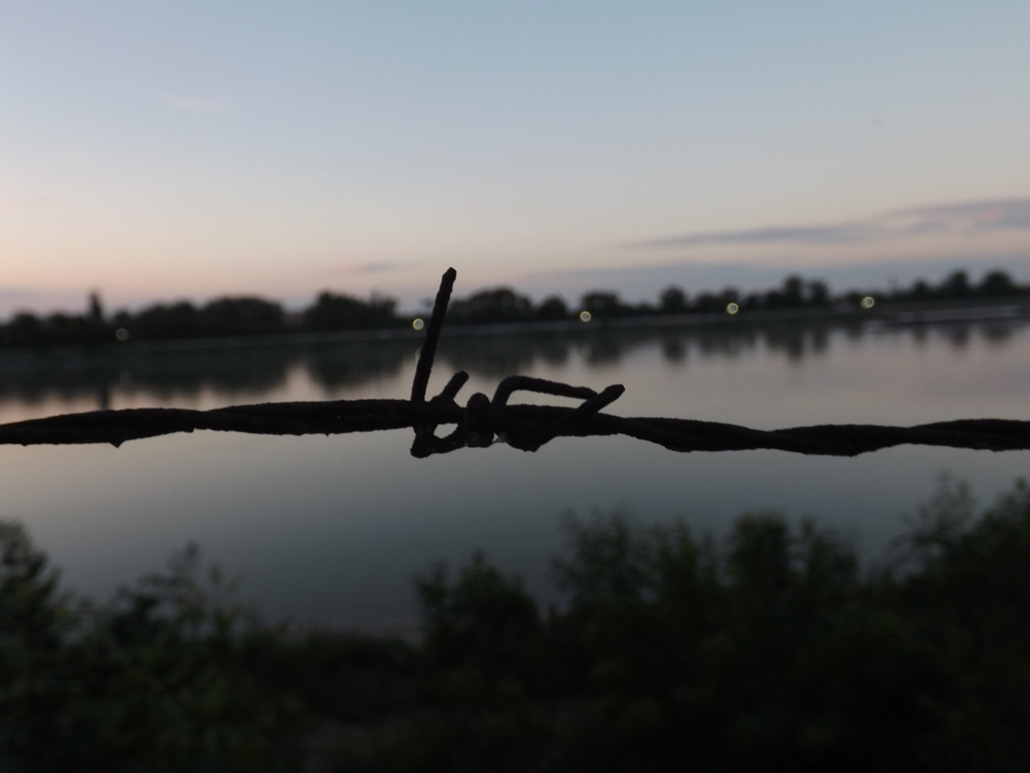 Fujifilm FinePix SL300 sample photo. Wire photography