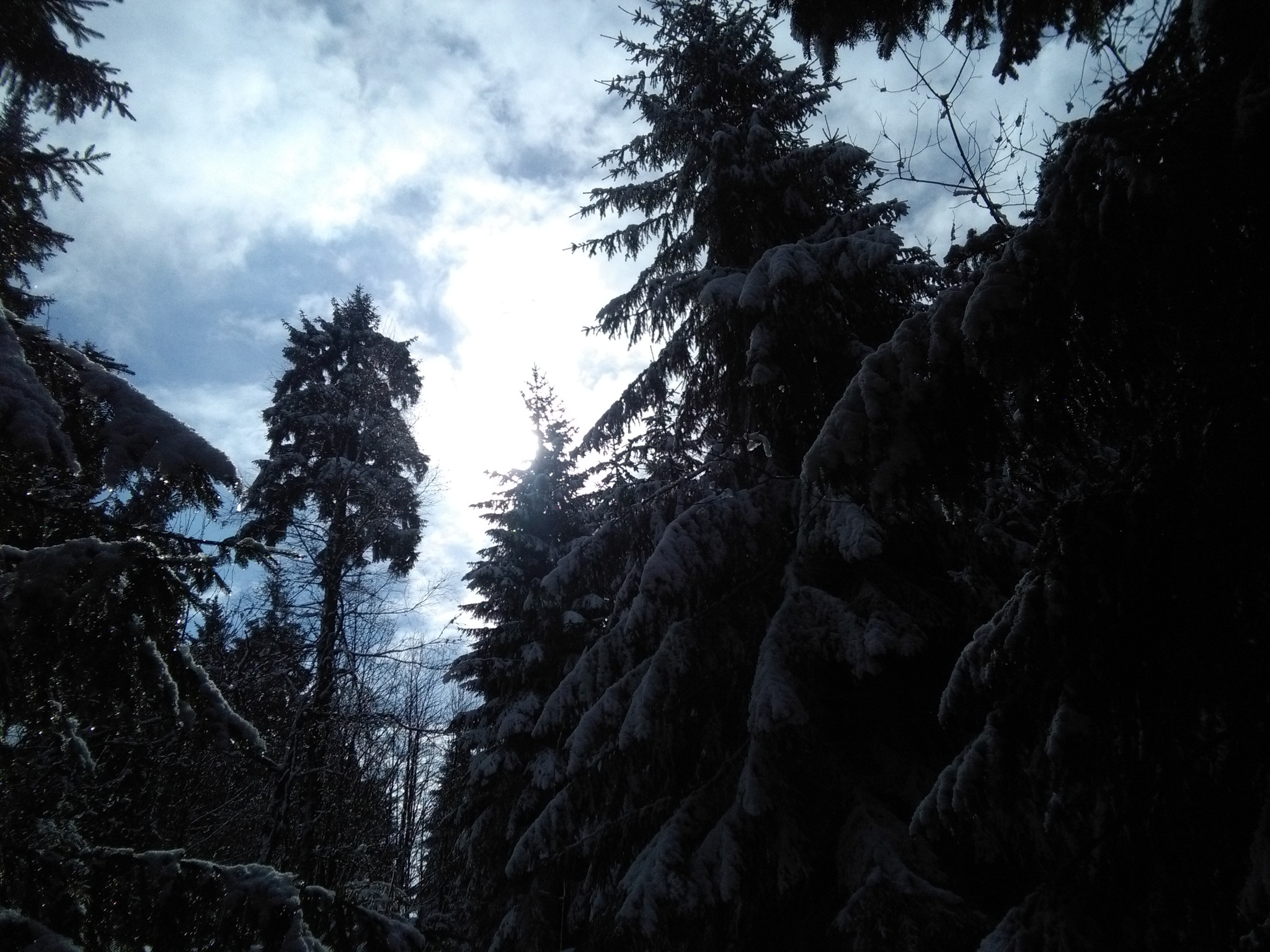 HUAWEI Y6 sample photo. Les 4 photography