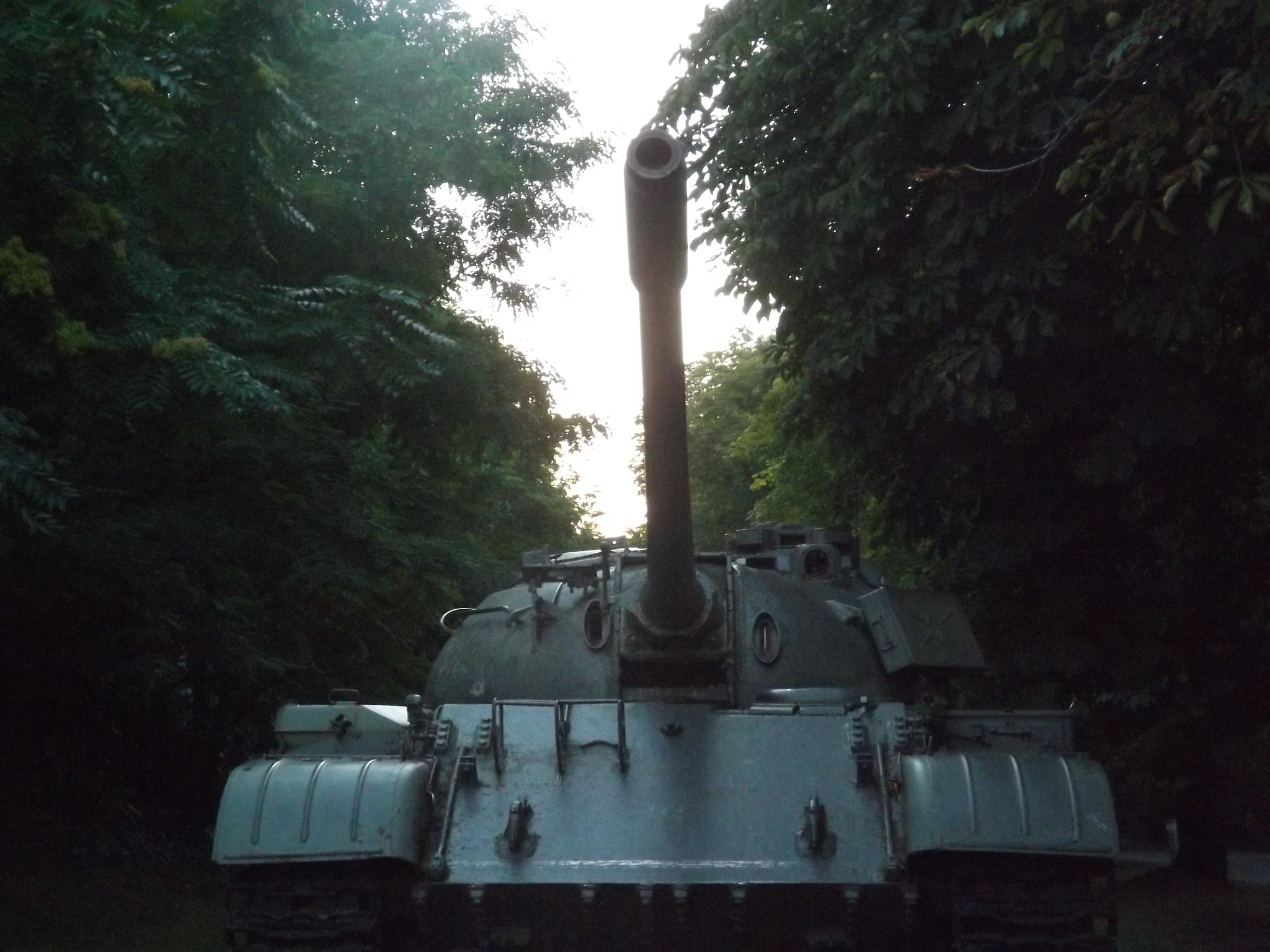 Fujifilm FinePix SL300 sample photo. Tank photography