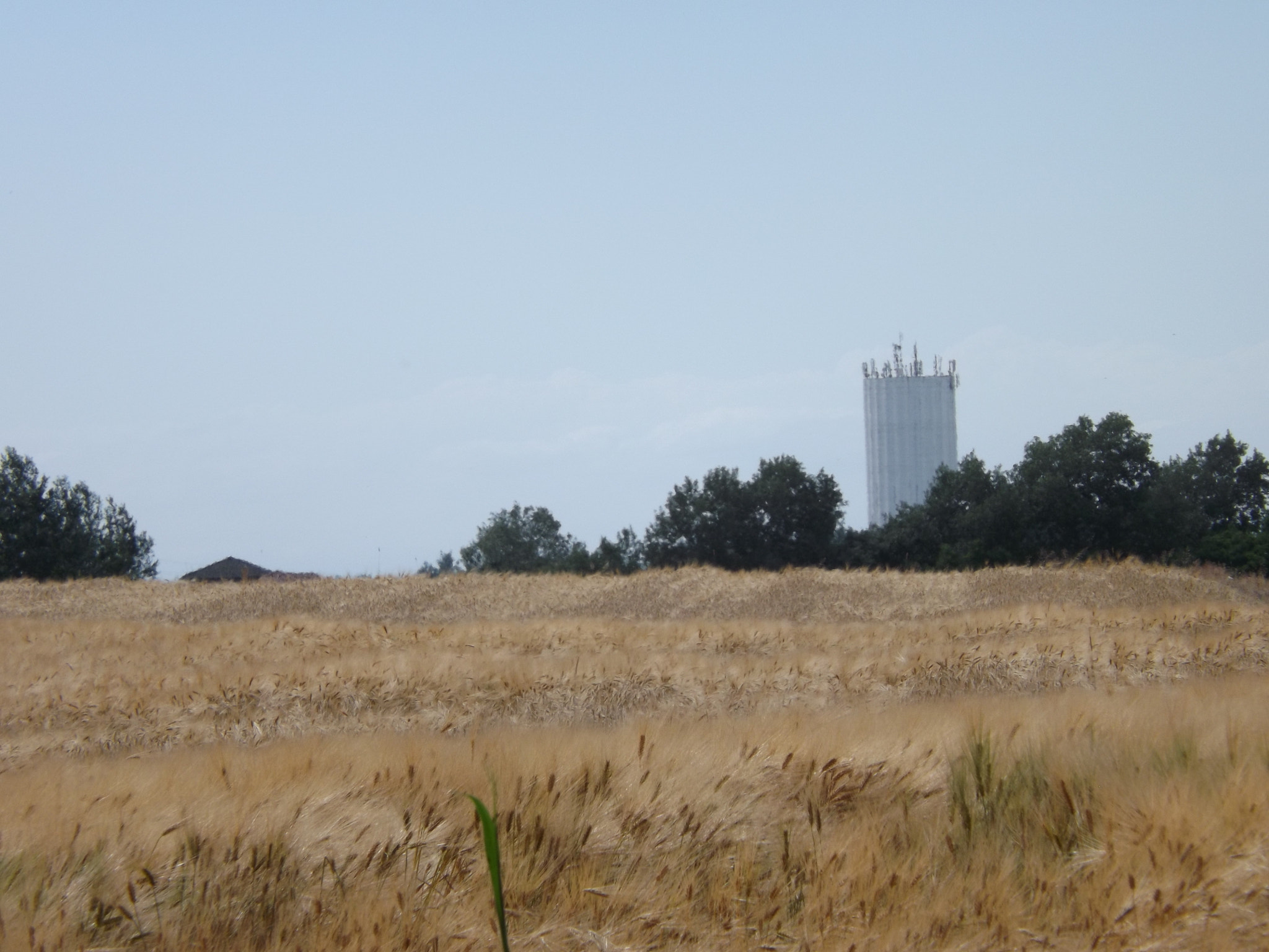 Fujifilm FinePix SL300 sample photo. Field photography