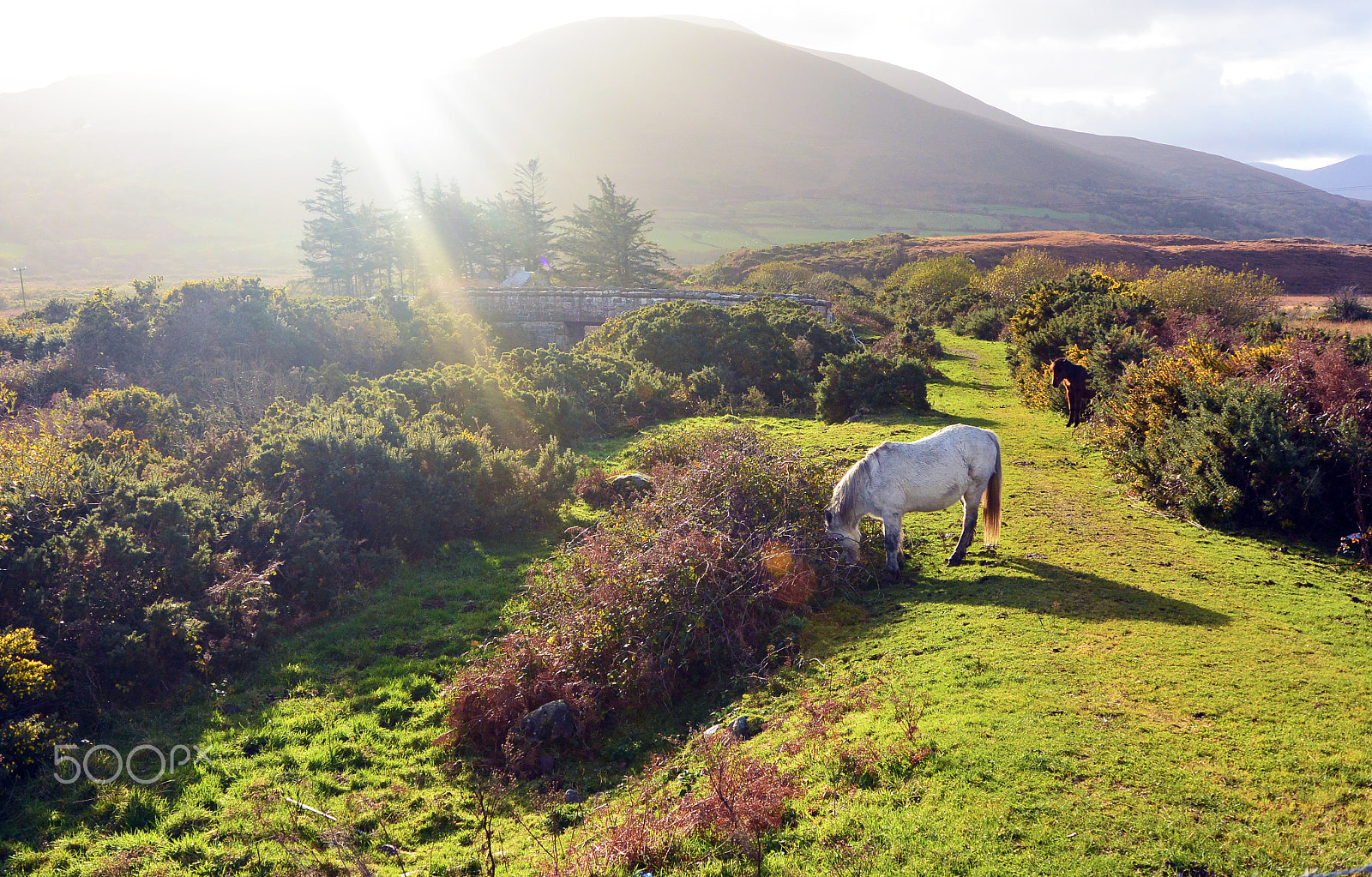 Nikon 1 Nikkor VR 10-30mm F3.5-5.6 sample photo. Landscapes in ireland photography