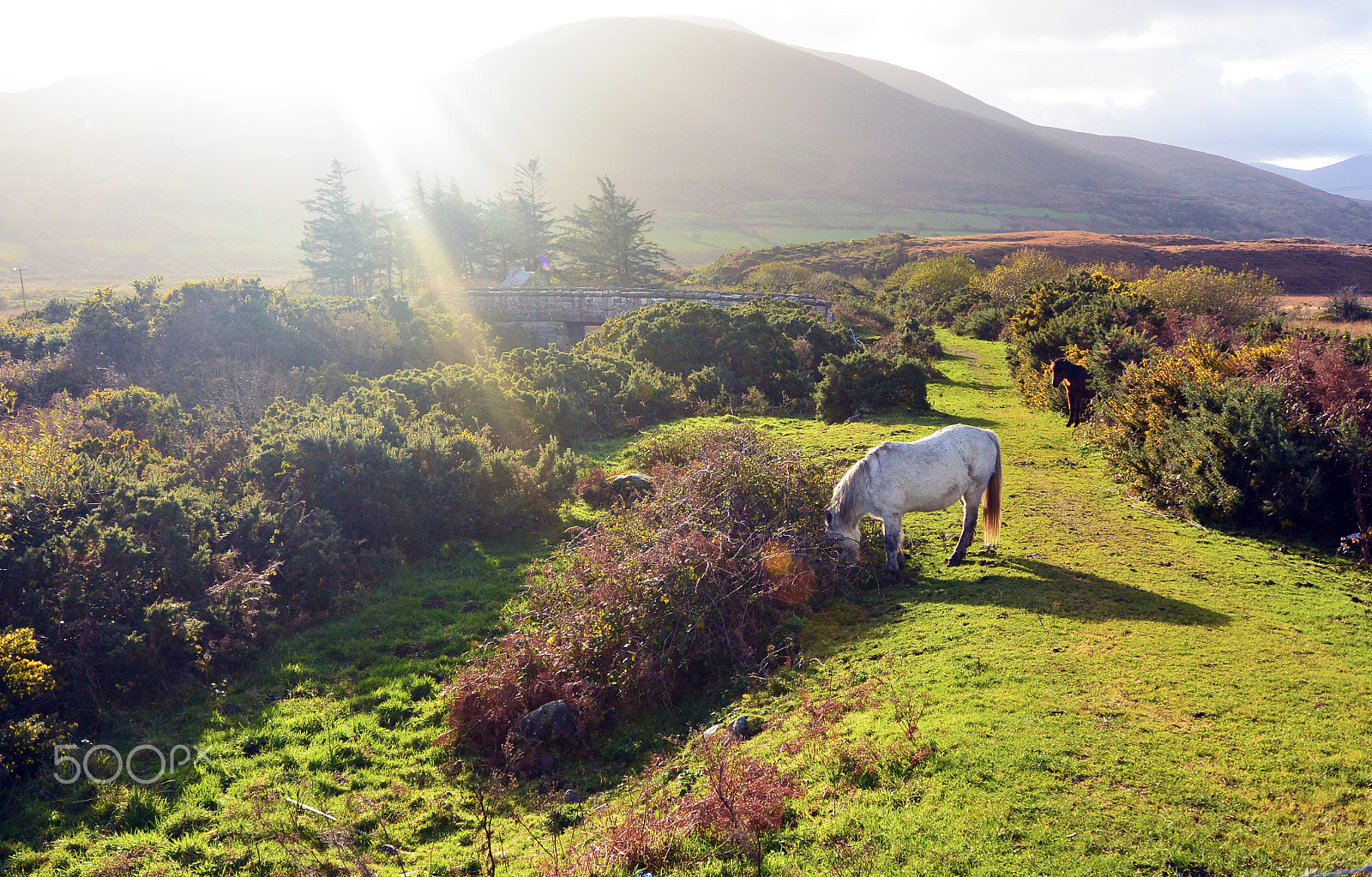 Nikon 1 J3 + Nikon 1 Nikkor VR 10-30mm F3.5-5.6 sample photo. Landscapes in ireland photography