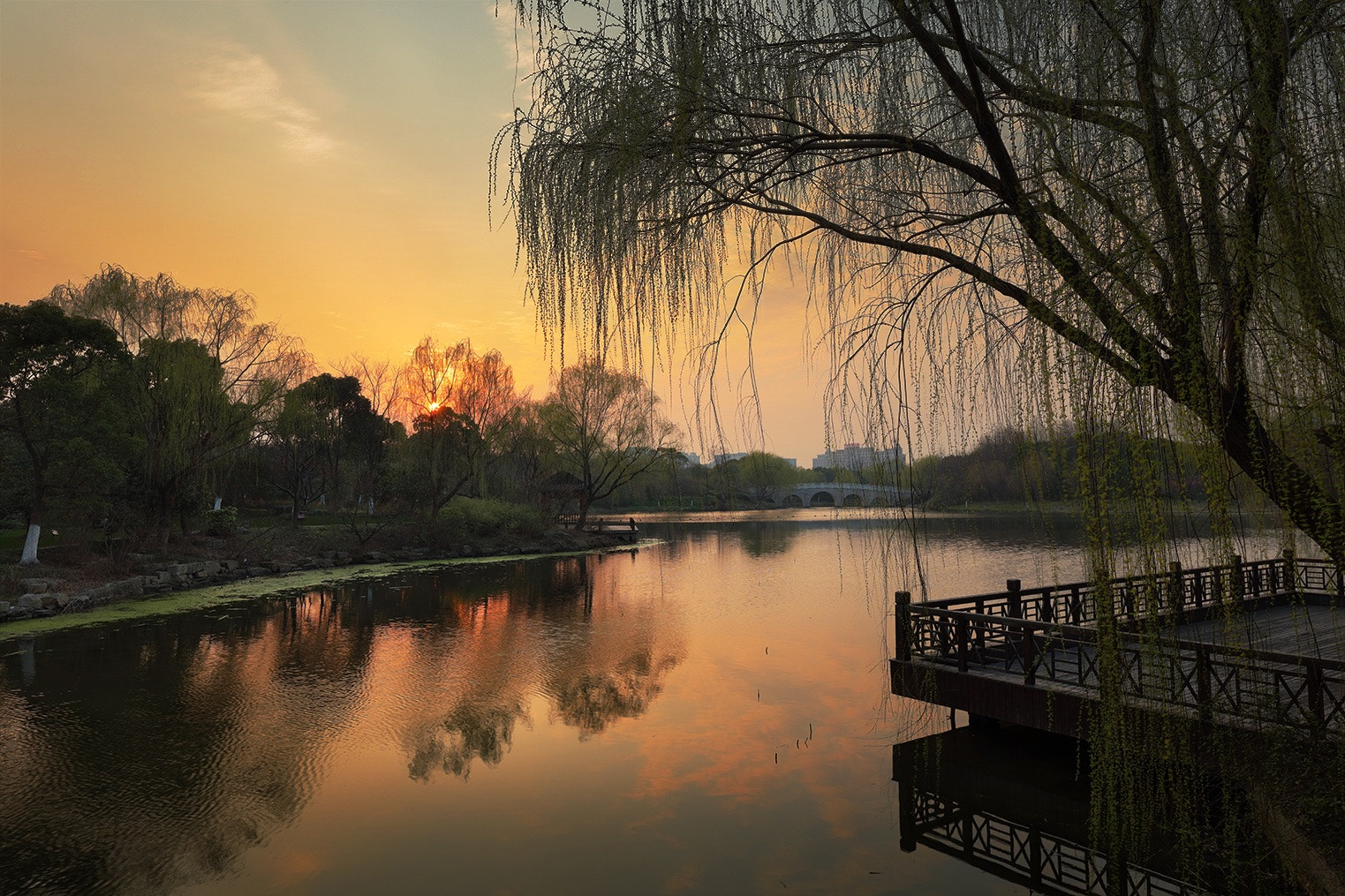 Canon EF 16-35mm F2.8L III USM sample photo. 夕照 photography