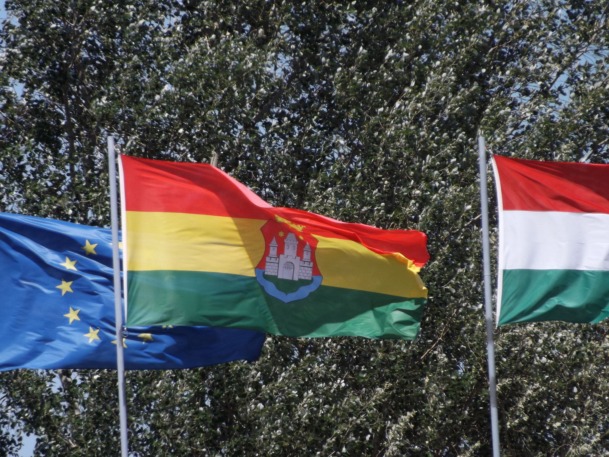 Fujifilm FinePix SL300 sample photo. Flags photography