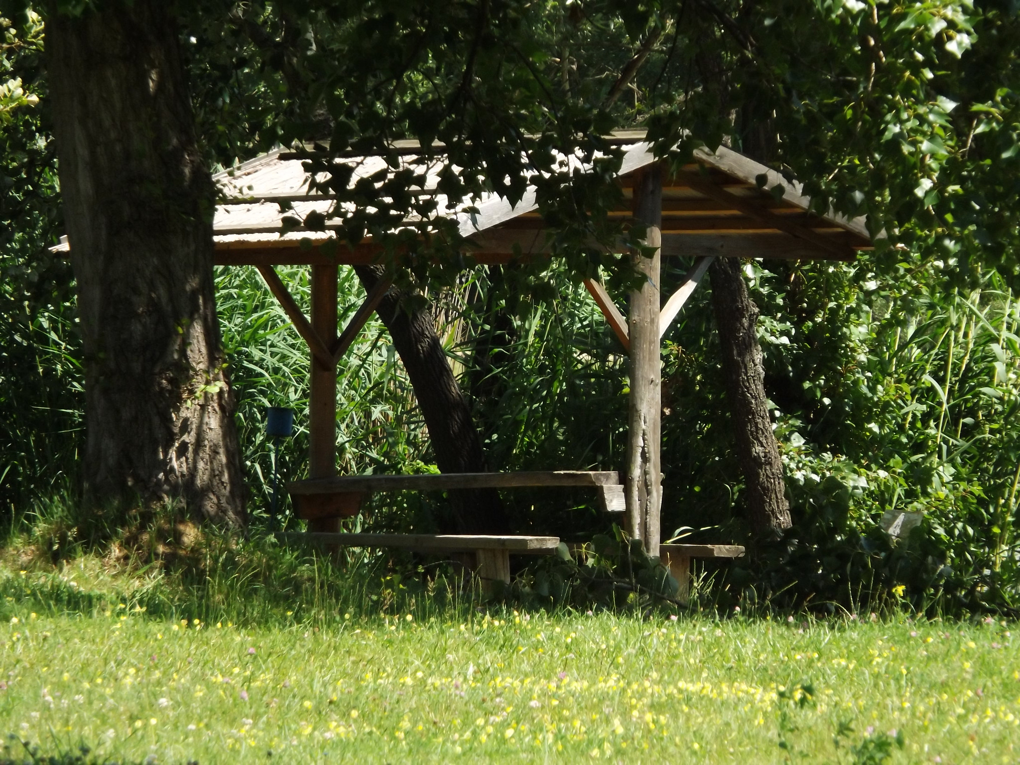 Fujifilm FinePix SL300 sample photo. Nature photography