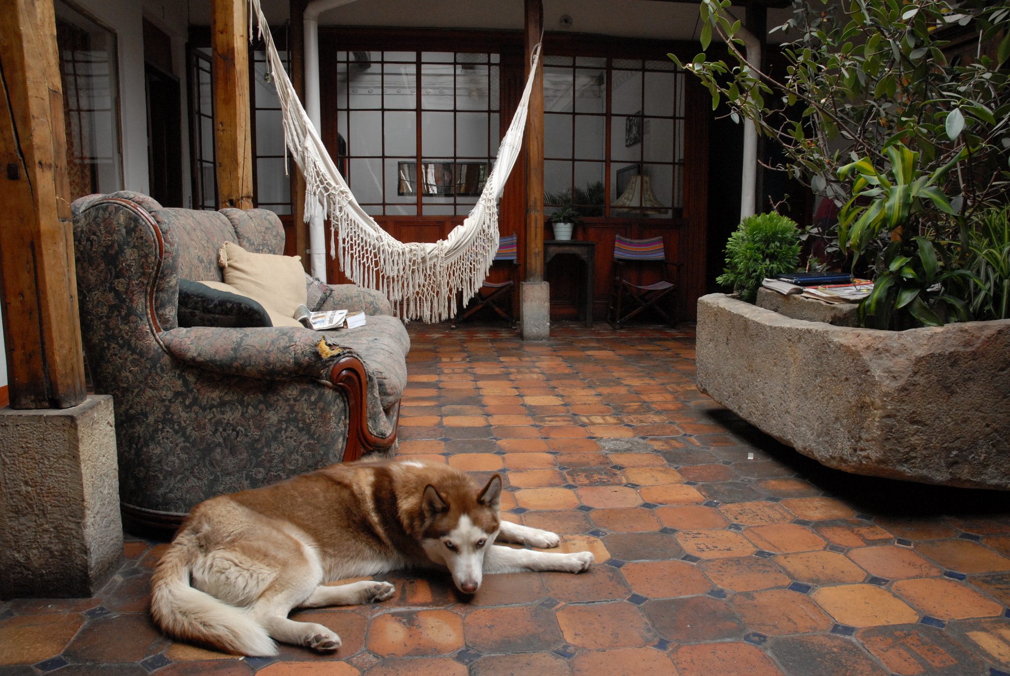 Nikon D200 sample photo. Pyt photography