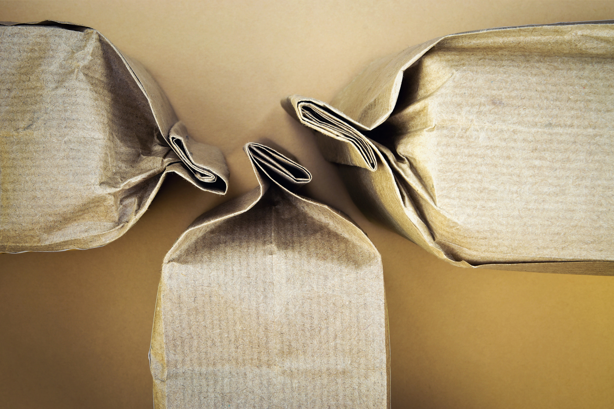 Nikon D5500 sample photo. Three sealed paper bags photography