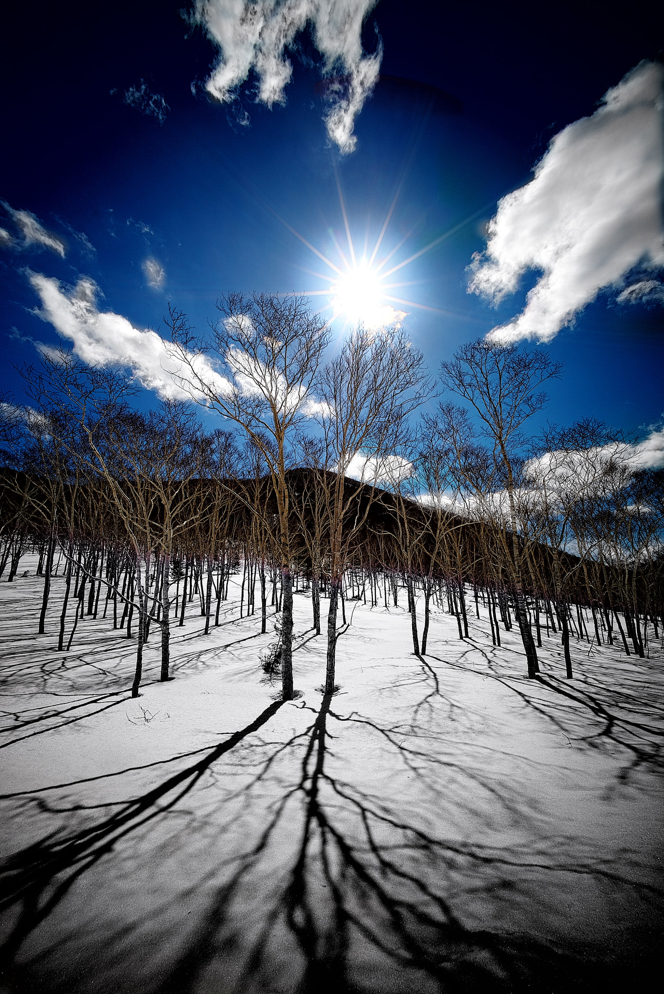 Sony a7S sample photo. Winter hideaway 2016 ll photography