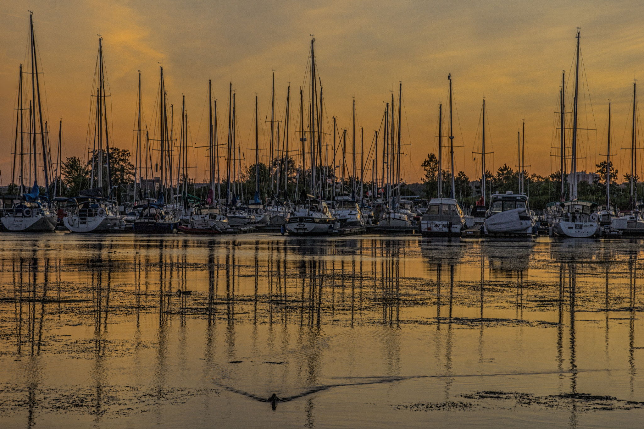 Sony SLT-A65 (SLT-A65V) sample photo. Boat photography