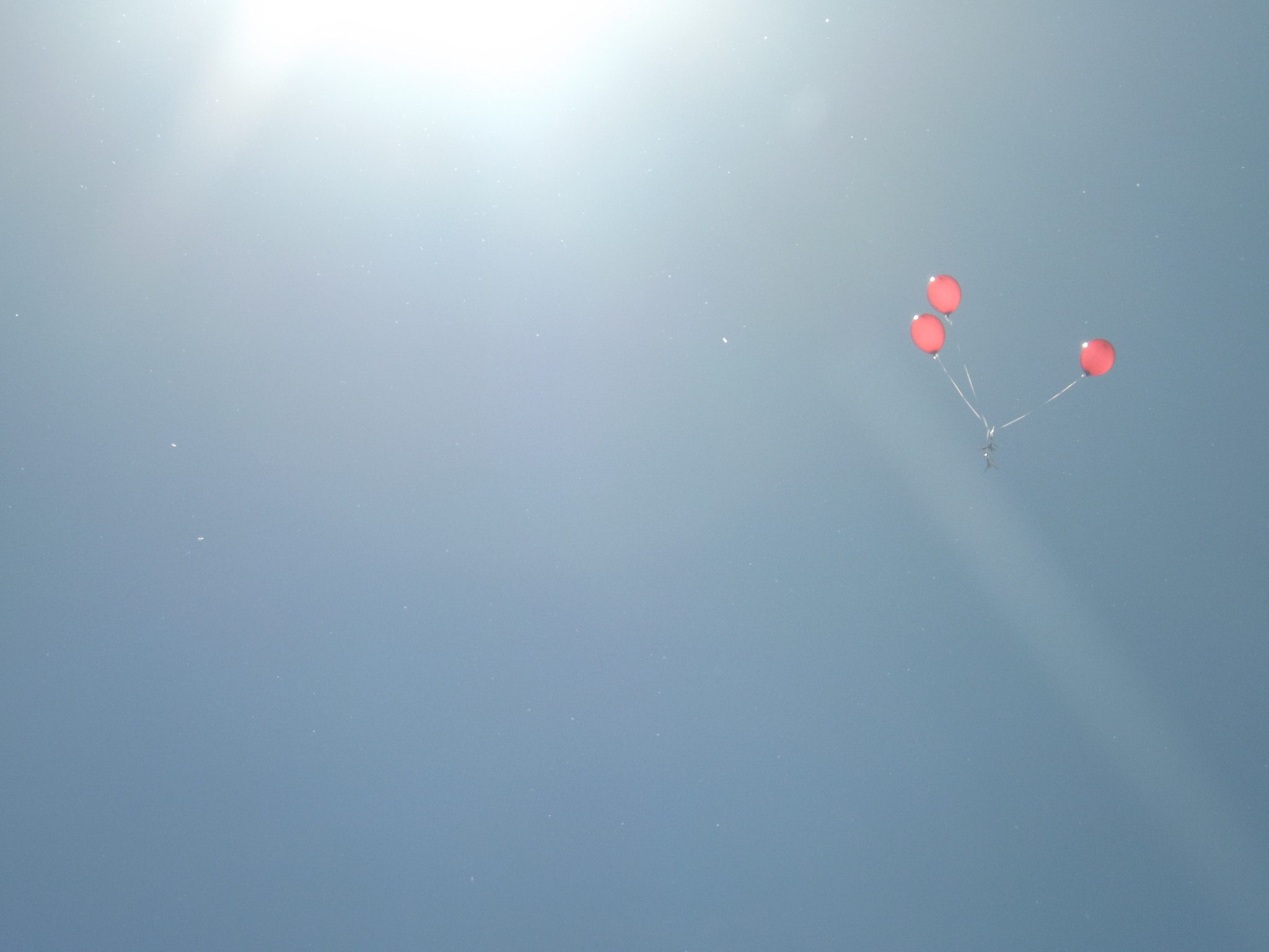 Fujifilm FinePix SL300 sample photo. Balloons photography