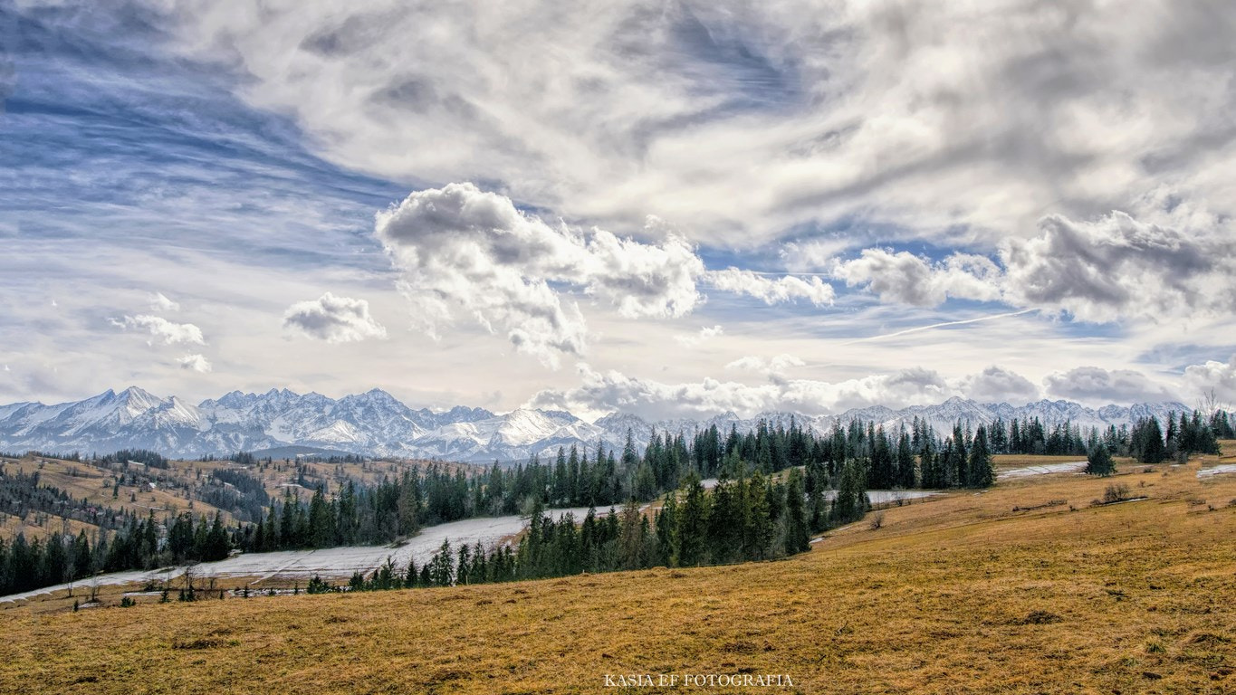 AF Zoom-Nikkor 24-50mm f/3.3-4.5D sample photo. Tatry photography