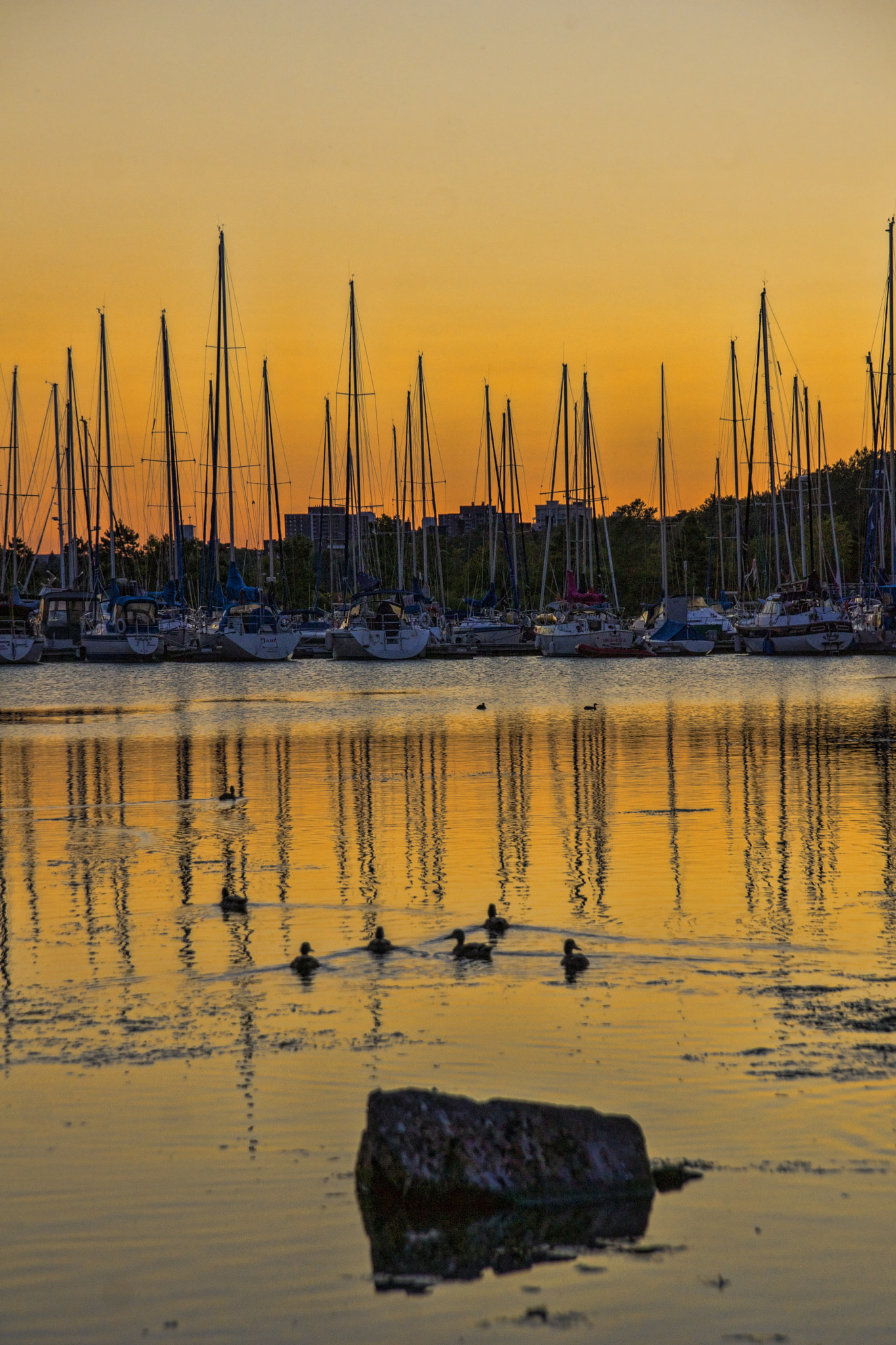 Sony DT 18-135mm F3.5-5.6 SAM sample photo. Boat photography