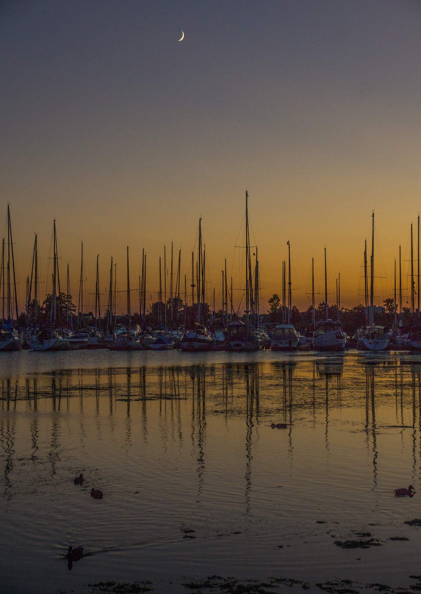 Sony SLT-A65 (SLT-A65V) sample photo. Boat photography