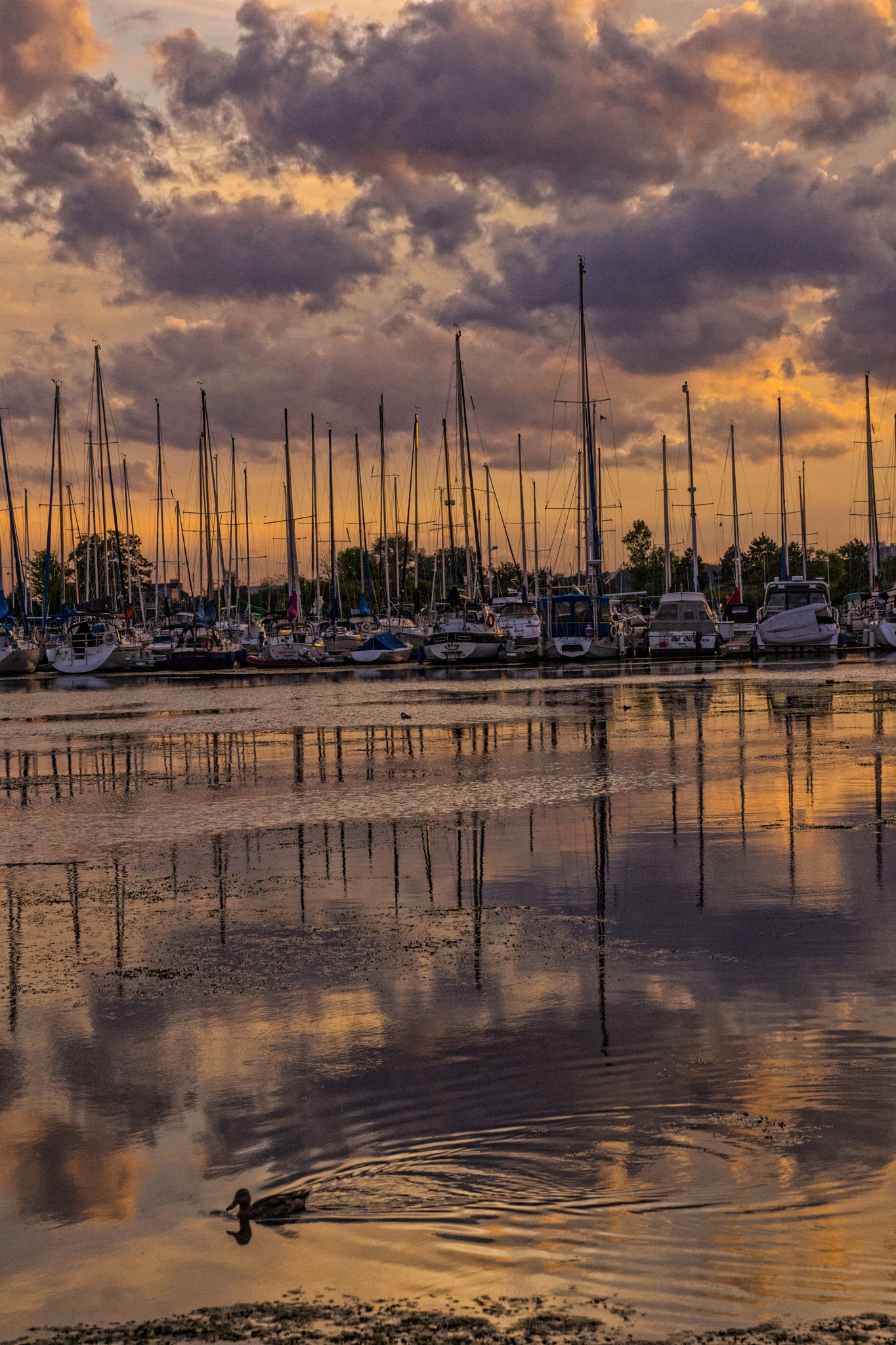 Sony SLT-A65 (SLT-A65V) sample photo. Boat photography