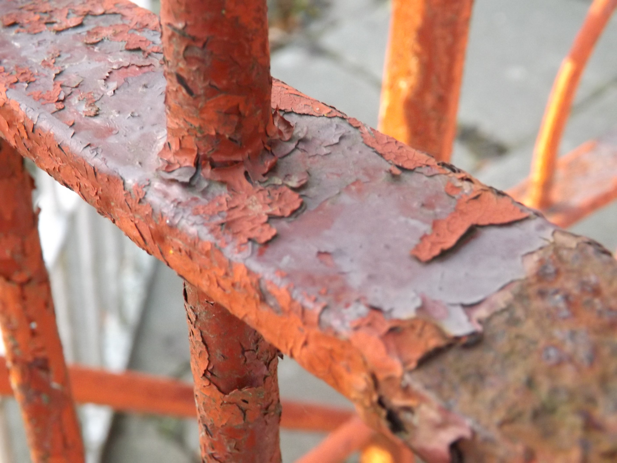 Fujifilm FinePix SL300 sample photo. Rust photography